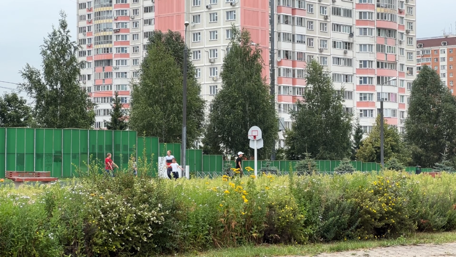 химки, образование, школьный лагерь, летний лагерь,