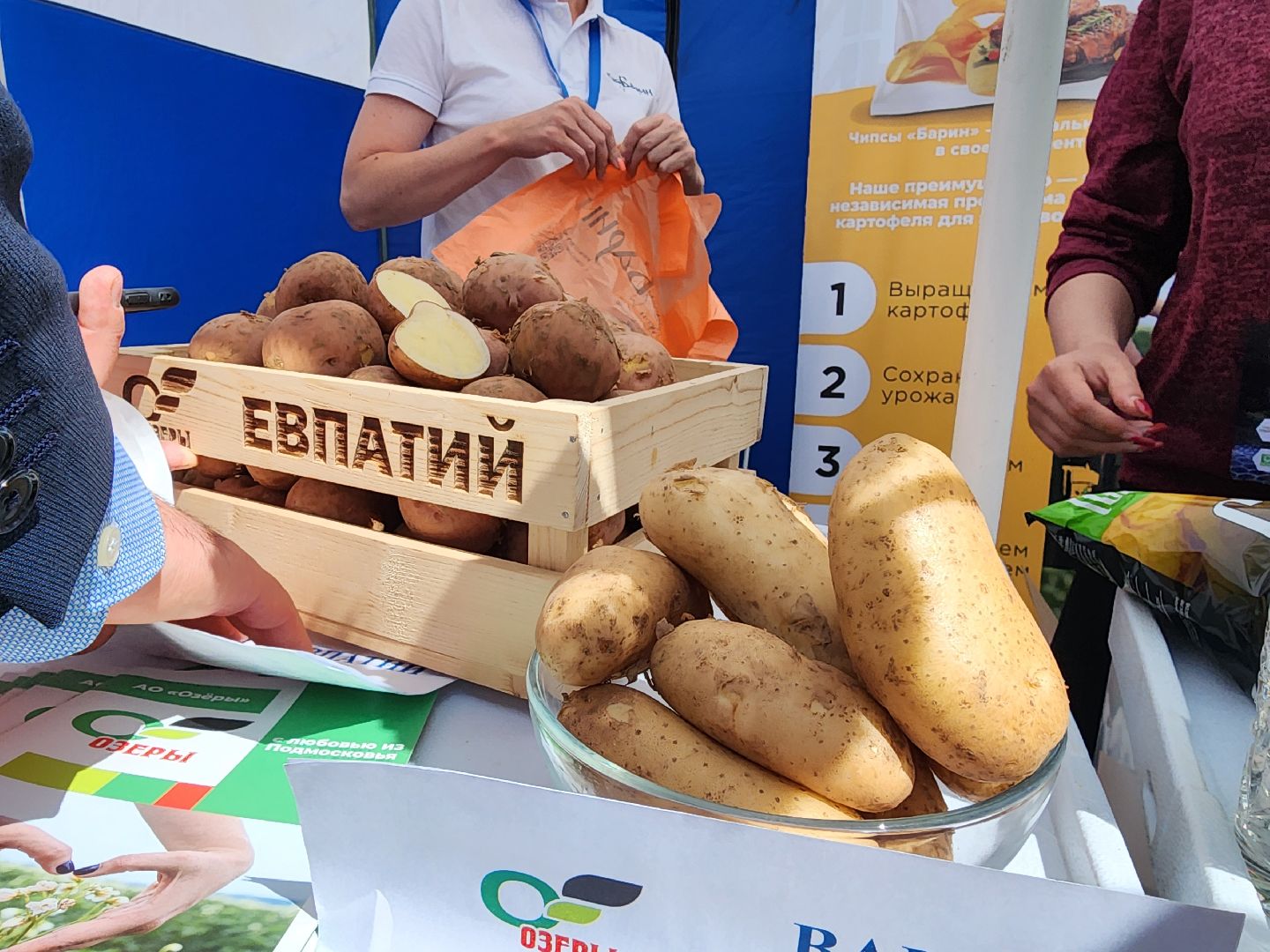 Домодедово, Подмосковье, фермеры, фермеры подмосковья, агрополигон 2024, сельхоз, сельхозтехника,