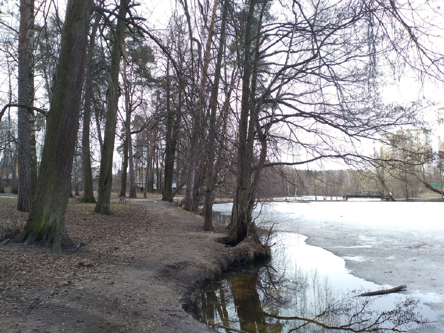 благоустройство, парк, Свердловский, Лосино-Петровский