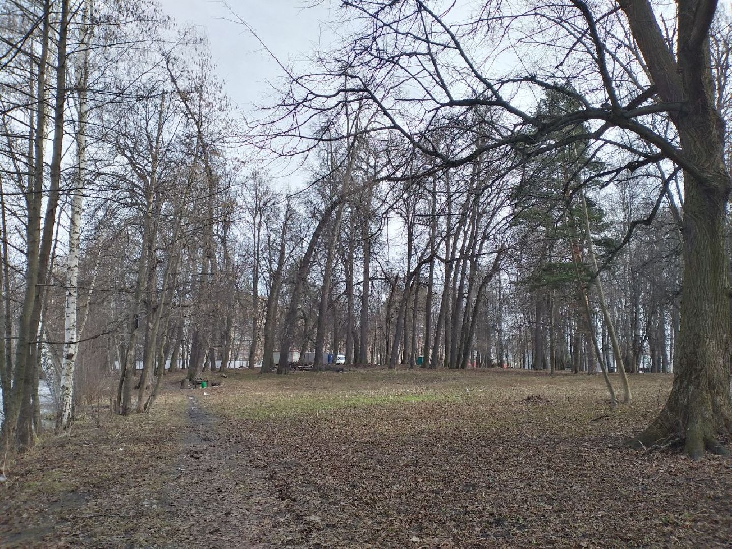 благоустройство, парк, Свердловский, Лосино-Петровский