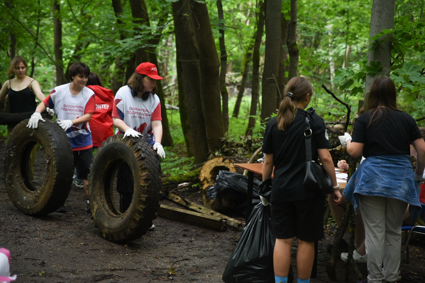 Бронницы, Экологический субботник, Волонтеры Подмосковья, Усадьба Марьино, Эко-субботник в усадьбе Марьино,