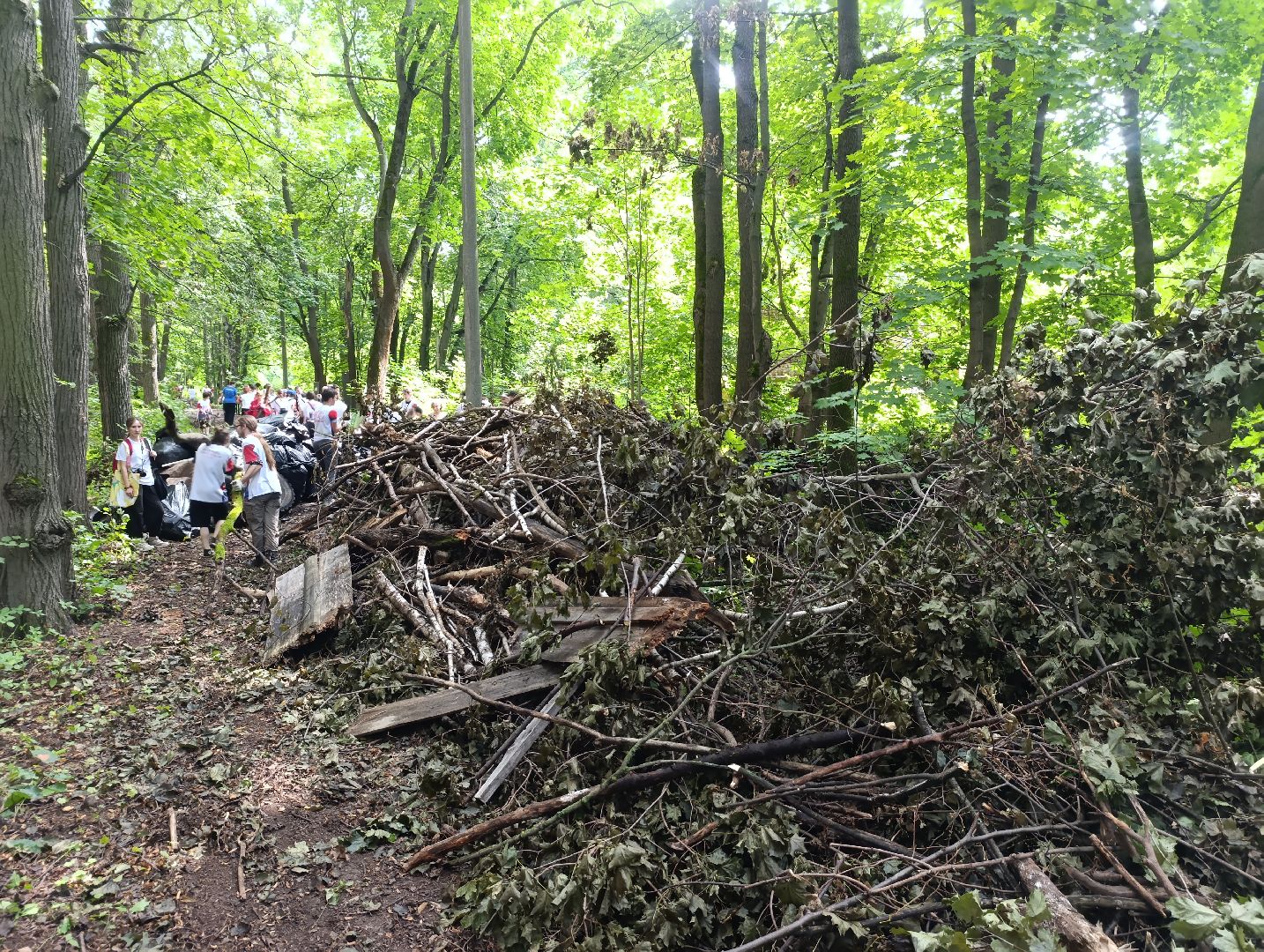 Бронницы, Экологический субботник, Волонтеры Подмосковья, Усадьба Марьино, Эко-субботник в усадьбе Марьино,