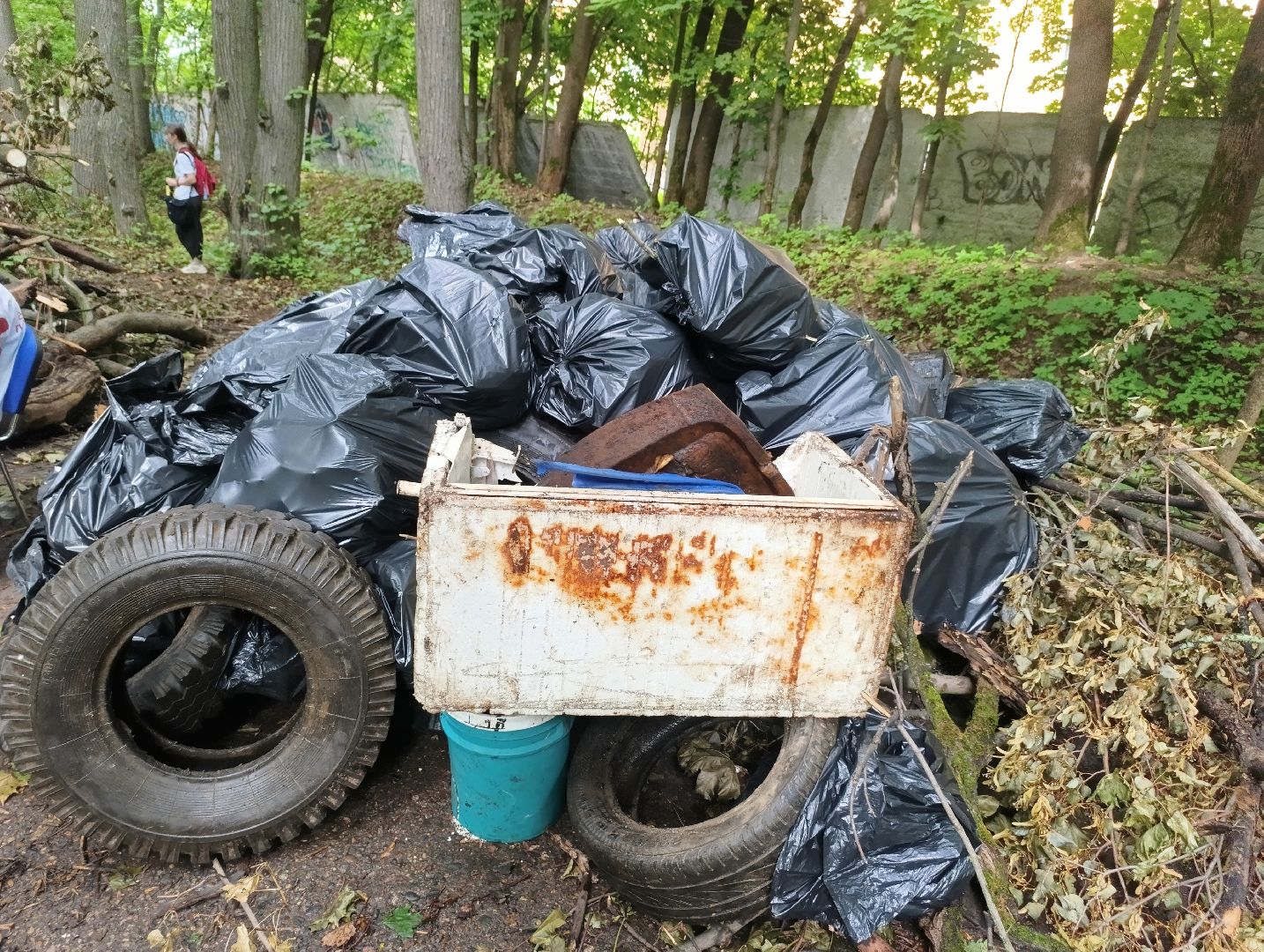 Бронницы, Экологический субботник, Волонтеры Подмосковья, Усадьба Марьино, Эко-субботник в усадьбе Марьино,