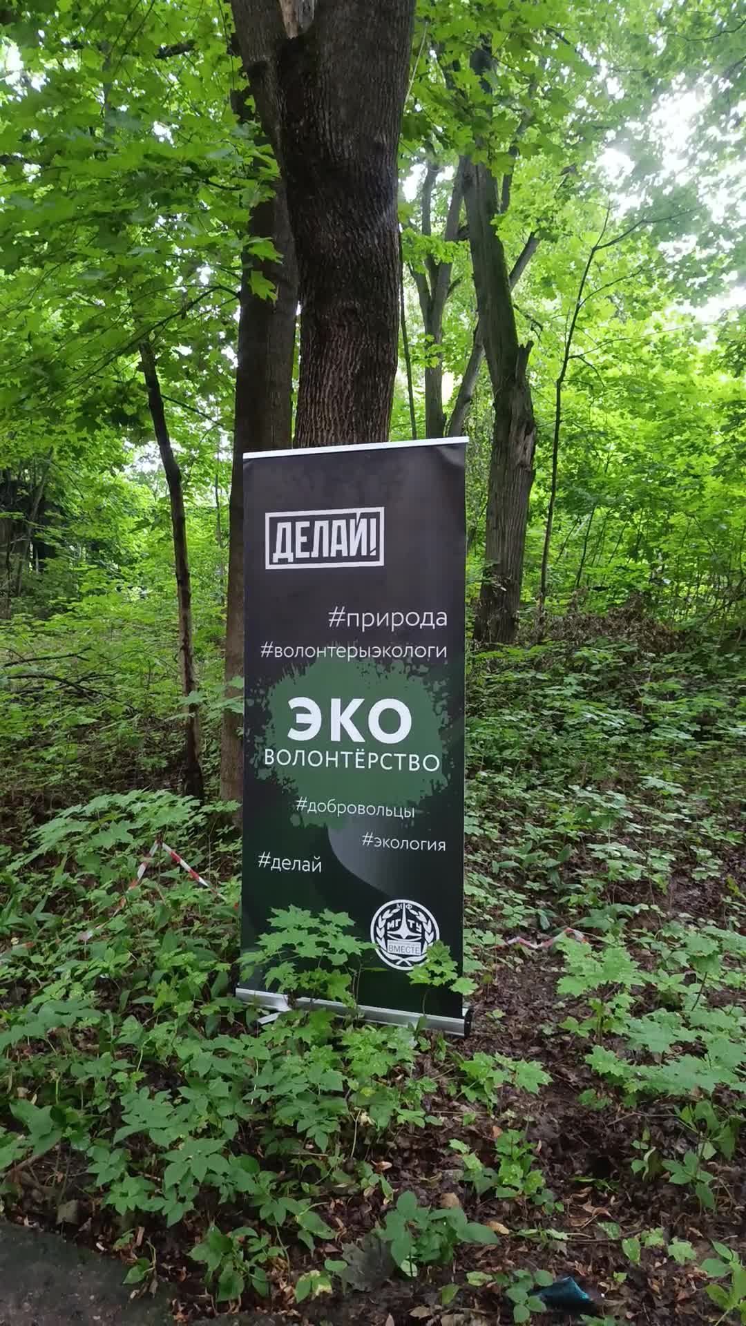 /mediabank_mount//45464/b40e57de734db3baedd90bdf418a542f.jpg