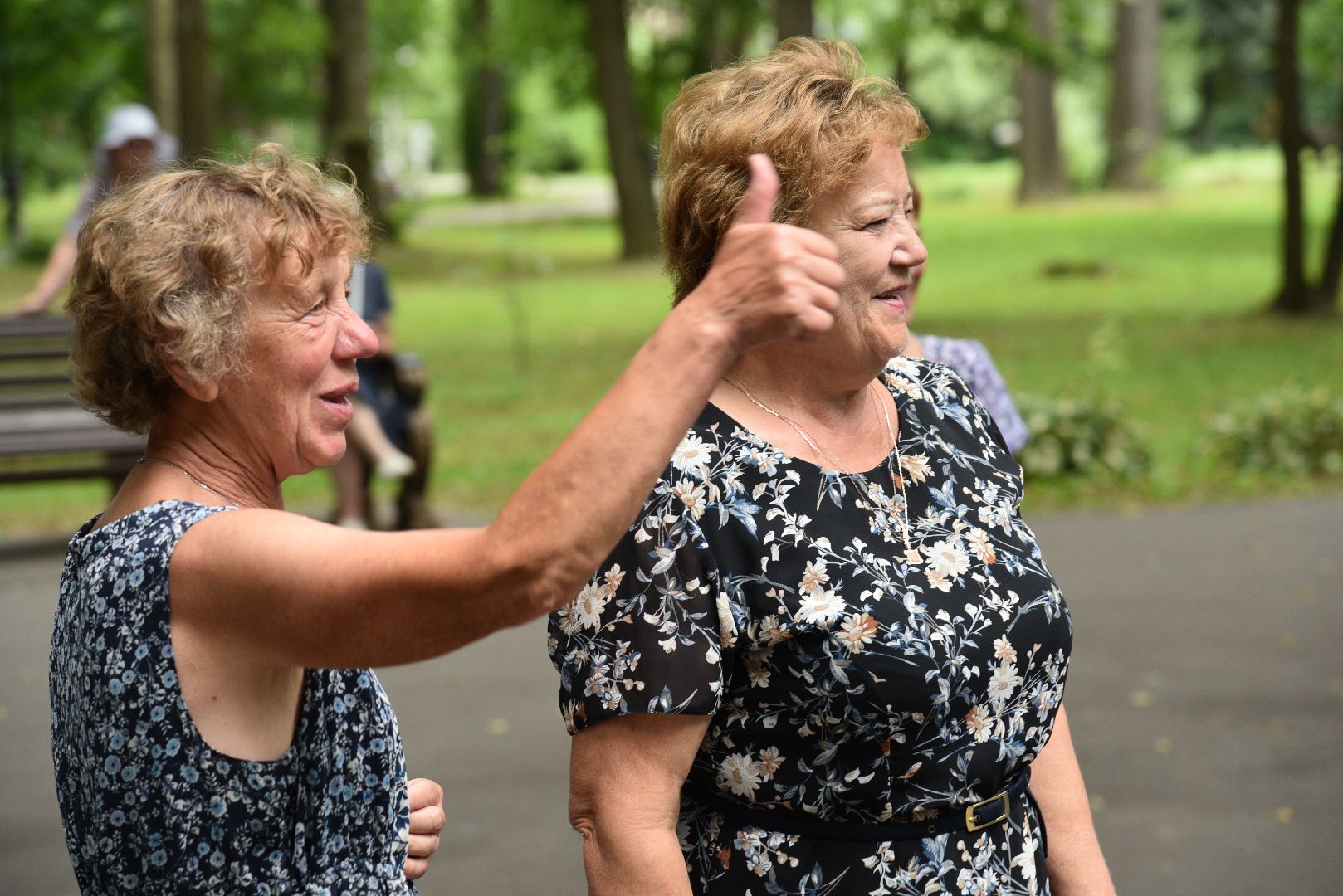 лотошино, лотошинский парк, танцы в парке, парки подмосковья, активное долголетие,
