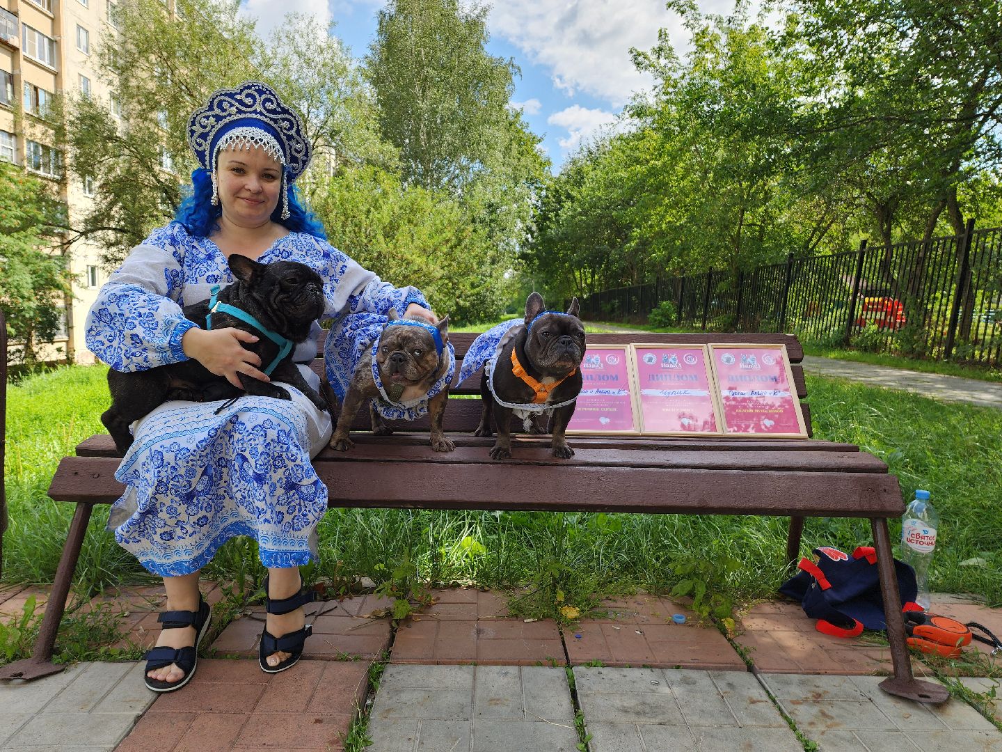 красногорск,французский бульдог, парад, волонтеры, благотворительность, приют для собак,