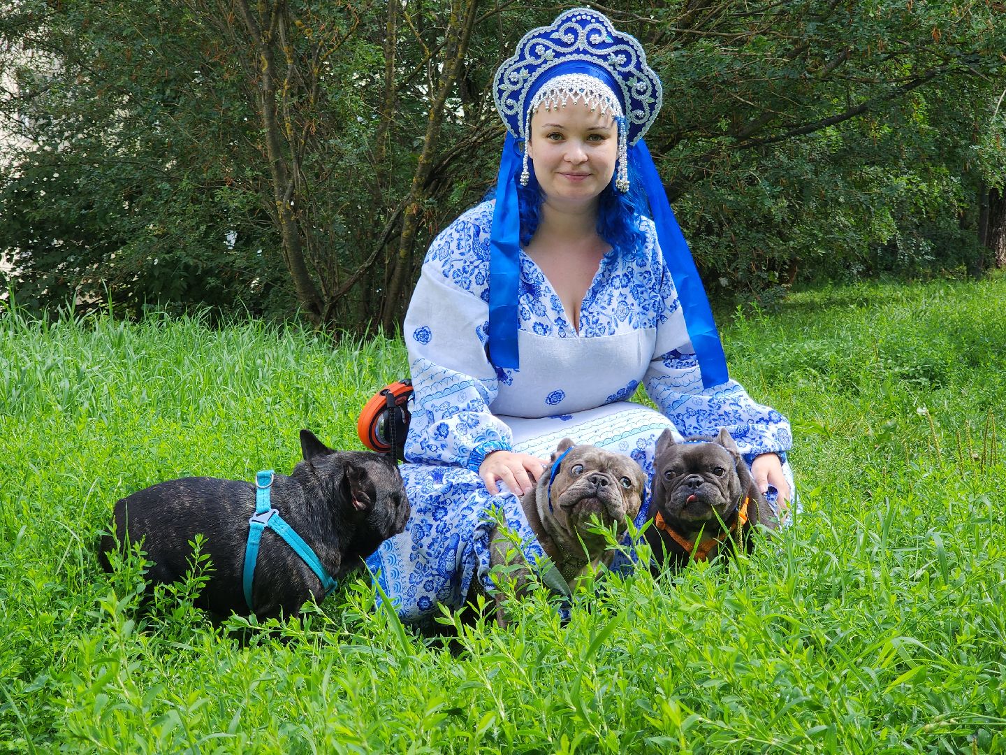 красногорск,французский бульдог, парад, волонтеры, благотворительность, приют для собак,