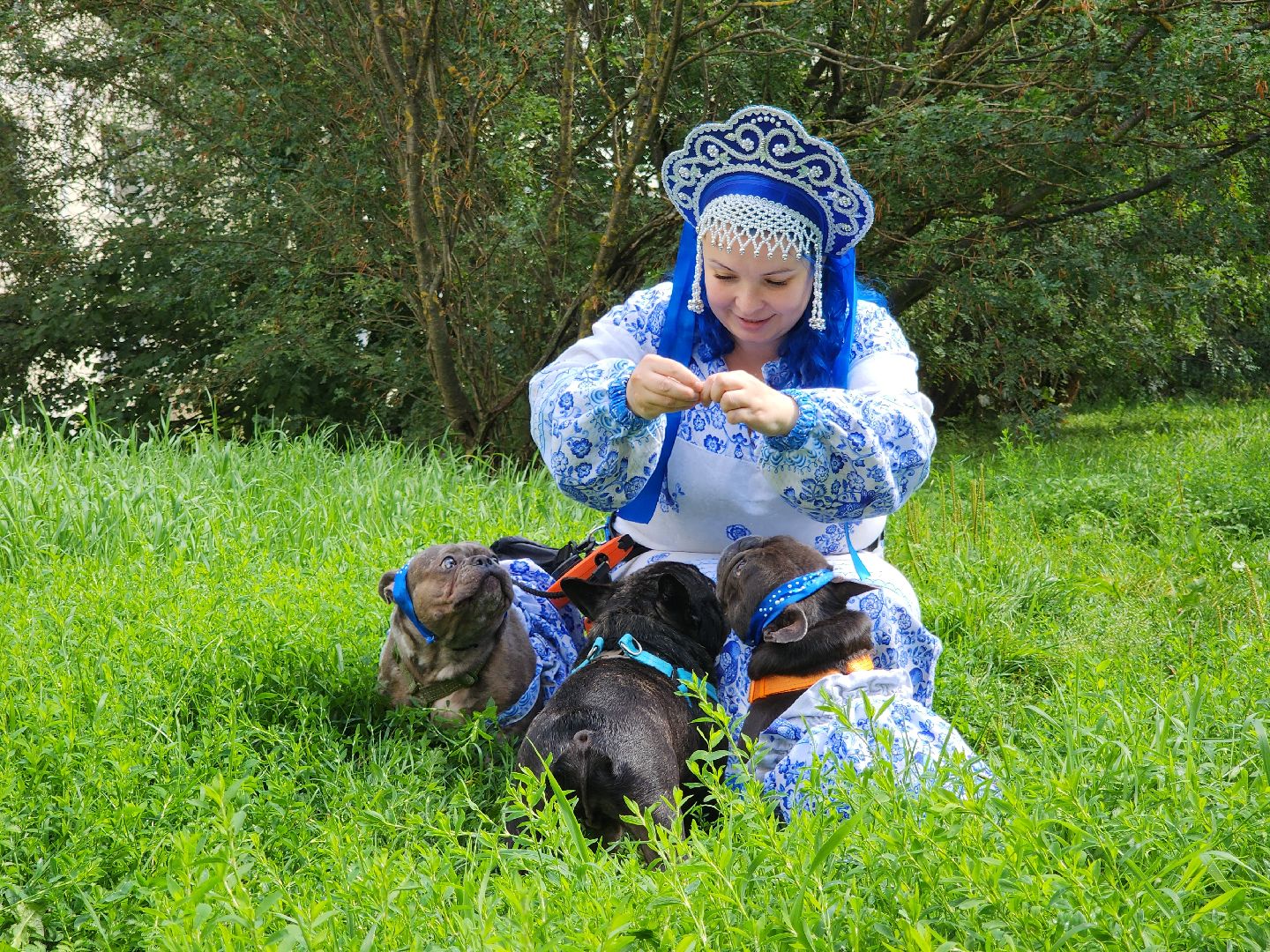 красногорск,французский бульдог, парад, волонтеры, благотворительность, приют для собак,