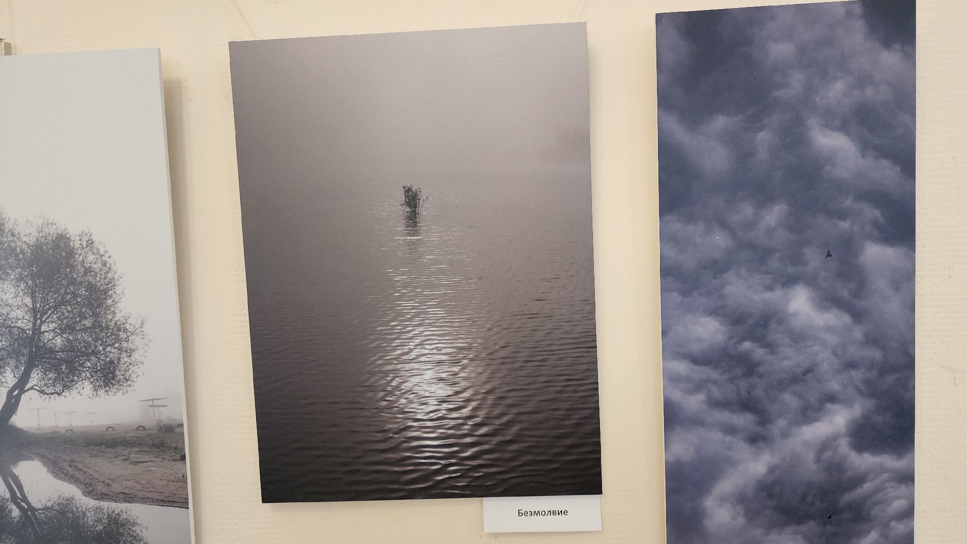 кашира, краеведческий музей, фотовыставка, светлана карнаух, пейзаж, натюрморт, фотохудожник, объективное настроение,