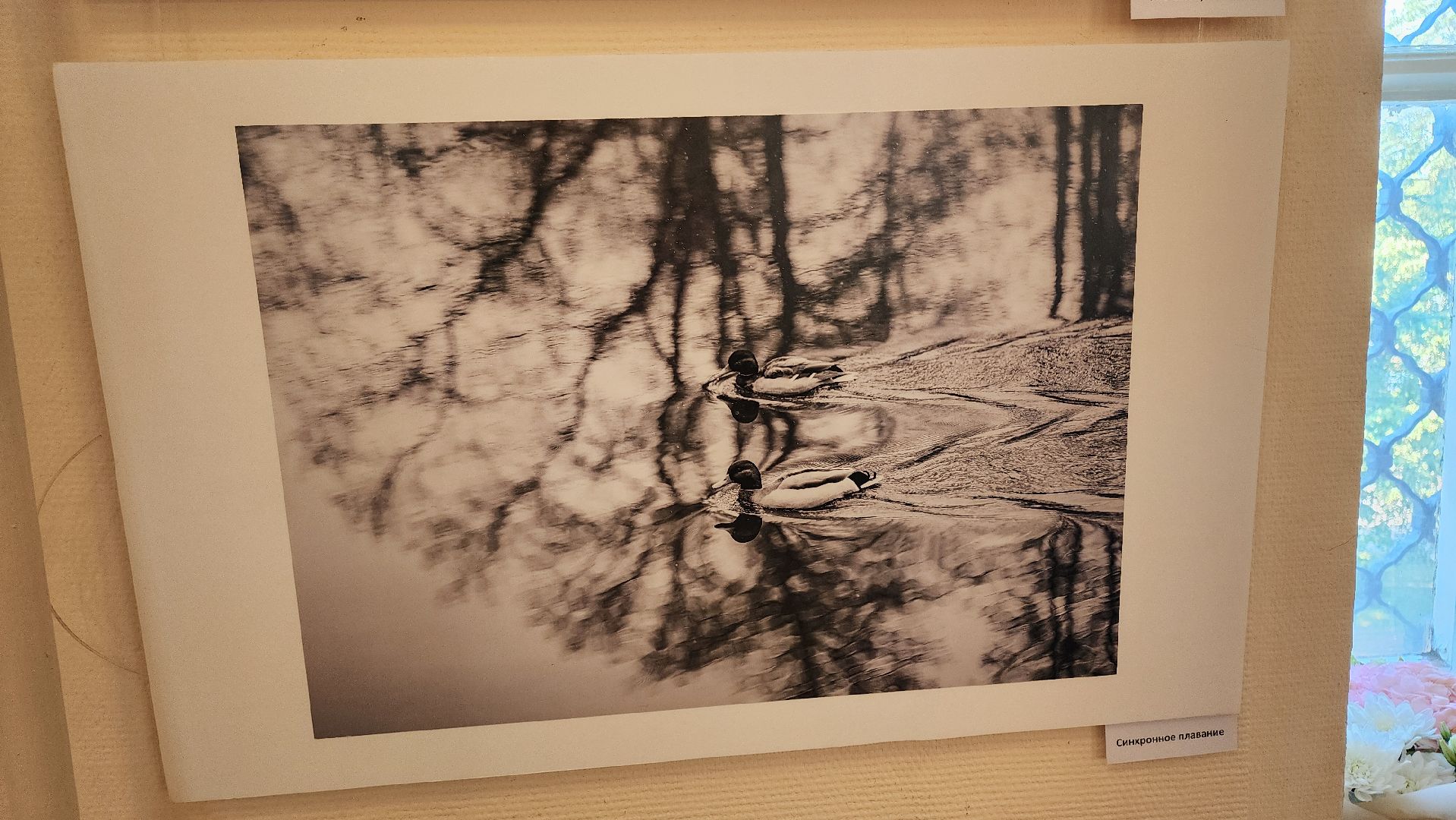 кашира, краеведческий музей, фотовыставка, светлана карнаух, пейзаж, натюрморт, фотохудожник, объективное настроение,