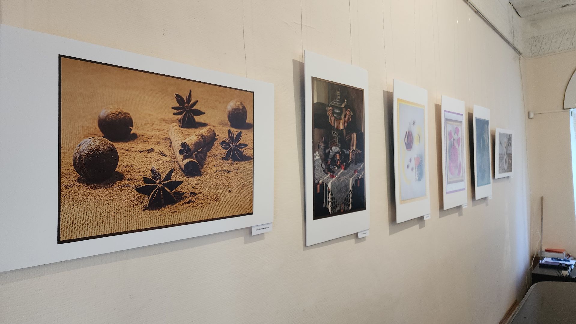 кашира, краеведческий музей, фотовыставка, светлана карнаух, пейзаж, натюрморт, фотохудожник, объективное настроение,