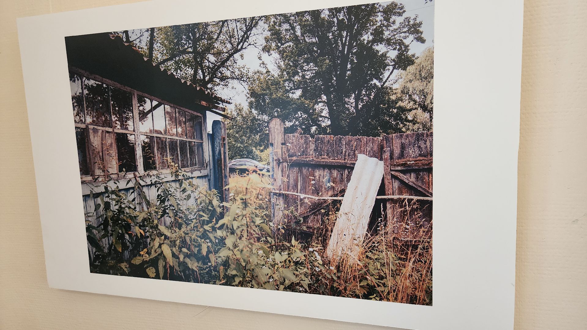 кашира, краеведческий музей, фотовыставка, светлана карнаух, пейзаж, натюрморт, фотохудожник, объективное настроение,