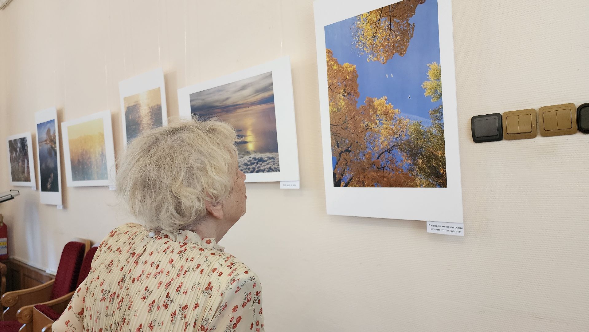 кашира, краеведческий музей, фотовыставка, светлана карнаух, пейзаж, натюрморт, фотохудожник, объективное настроение,