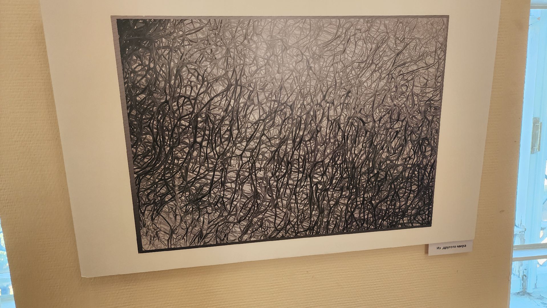 кашира, краеведческий музей, фотовыставка, светлана карнаух, пейзаж, натюрморт, фотохудожник, объективное настроение,