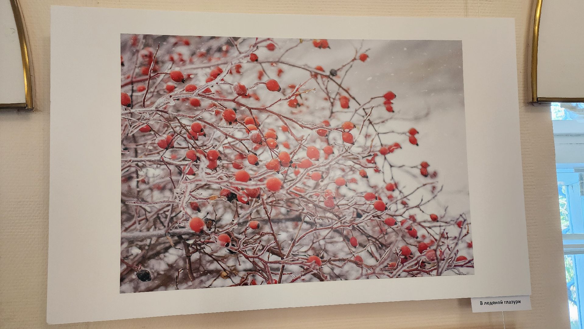 кашира, краеведческий музей, фотовыставка, светлана карнаух, пейзаж, натюрморт, фотохудожник, объективное настроение,