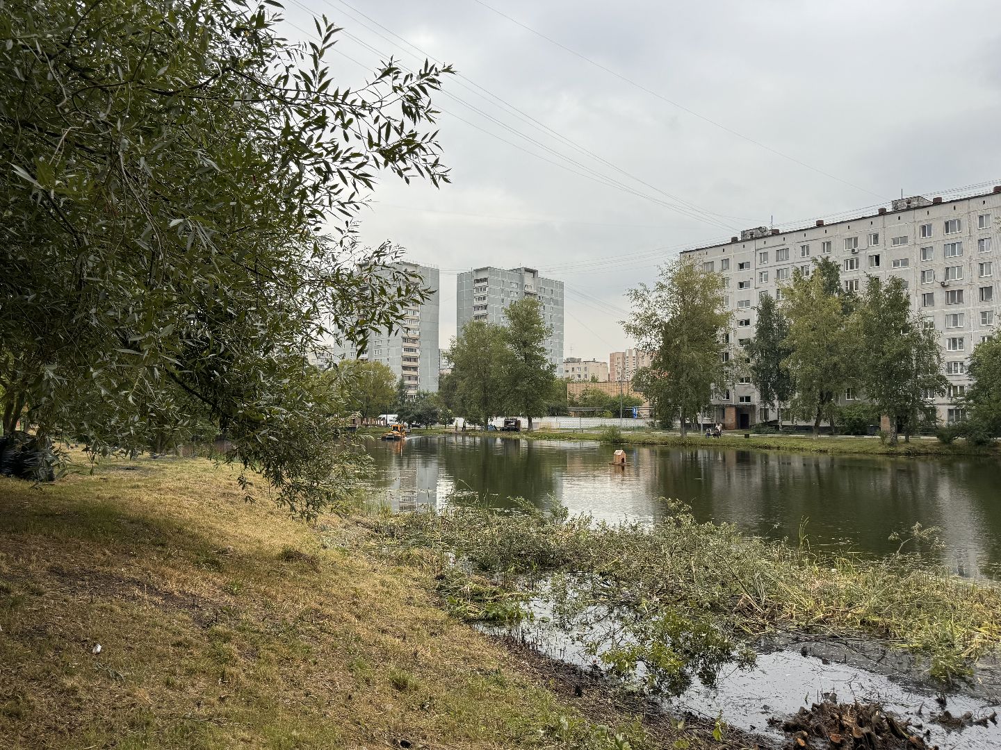 Одинцово, Очистка Комсомольского пруда, Благоустройство, 100 прудов и озер,