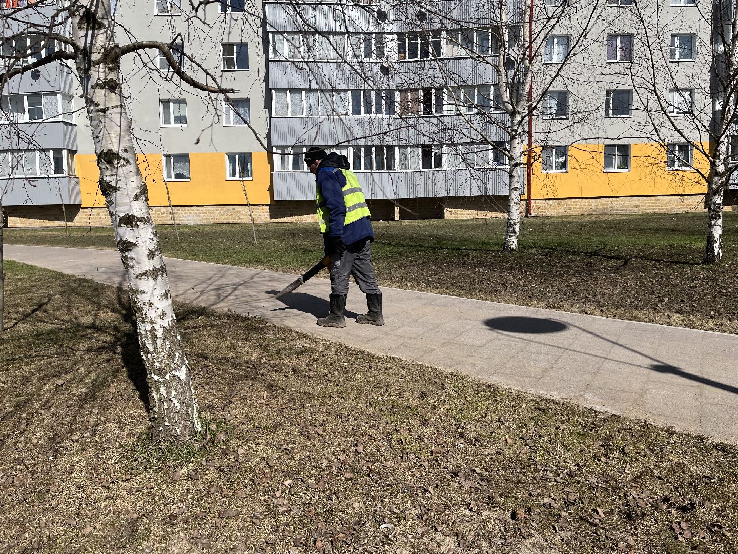 Шаховская, уборка, листья