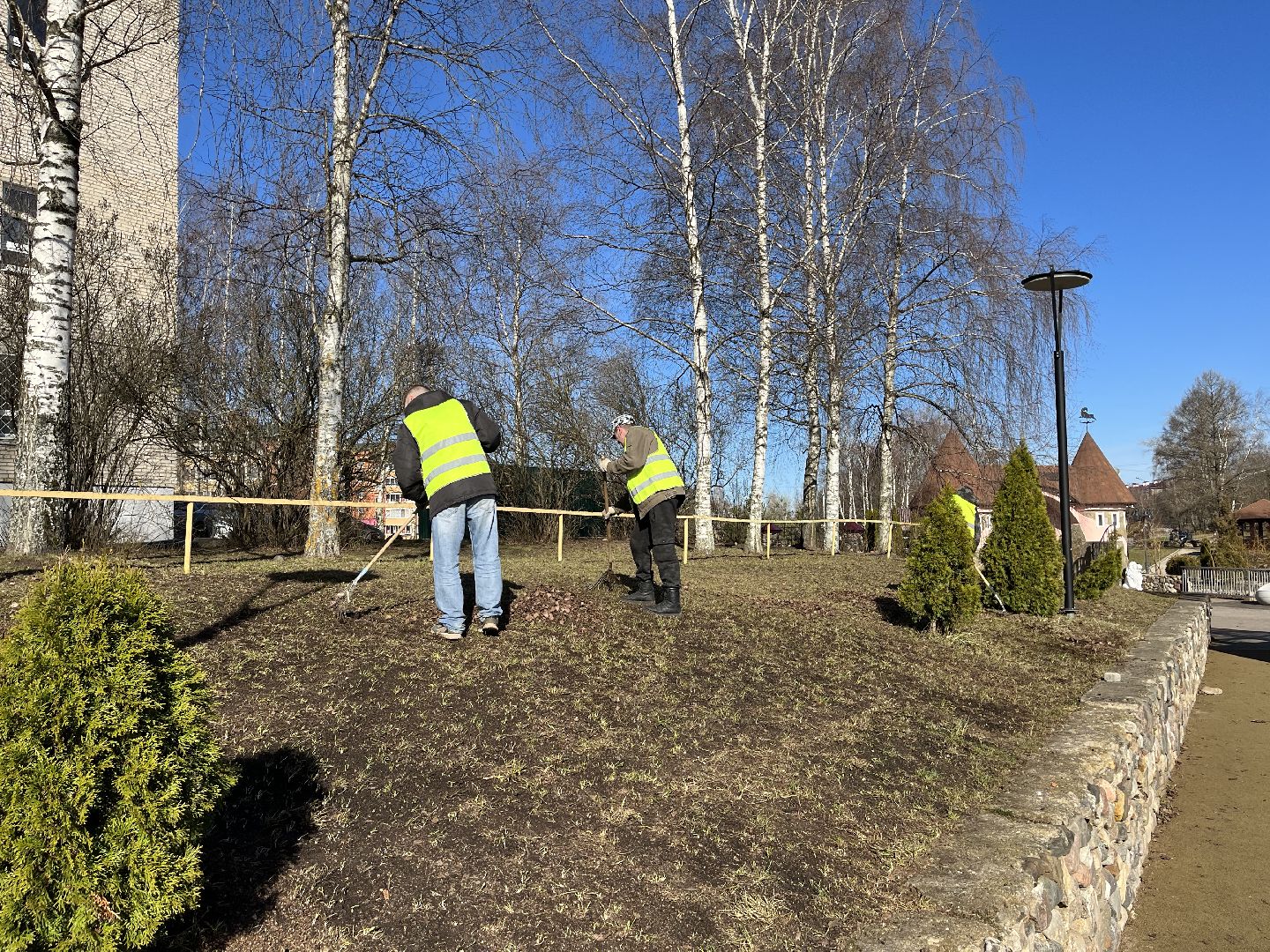 Шаховская, уборка, листья