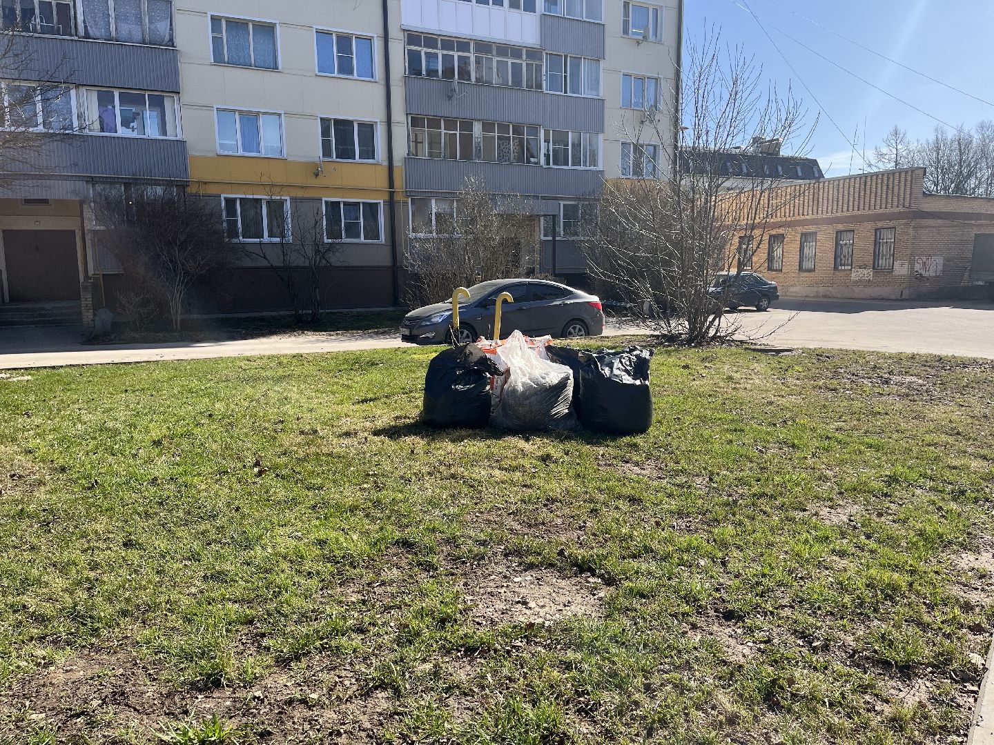 Шаховская, уборка, листья