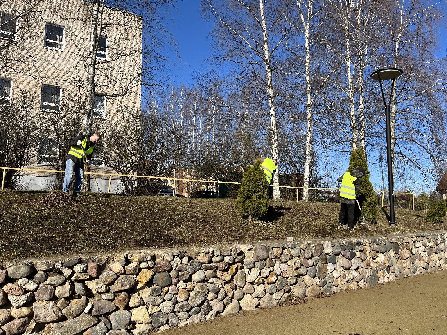 Шаховская, уборка, листья