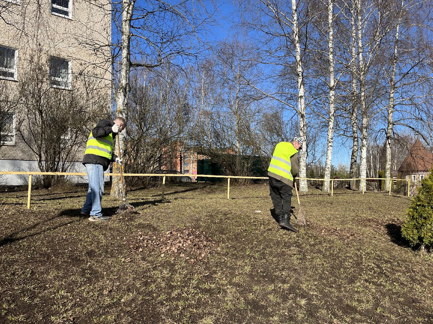 Шаховская, уборка, листья