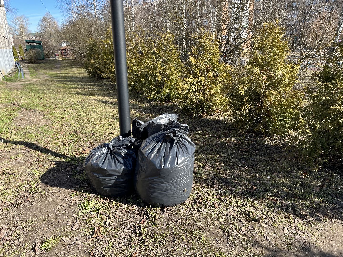 Шаховская, уборка, листья