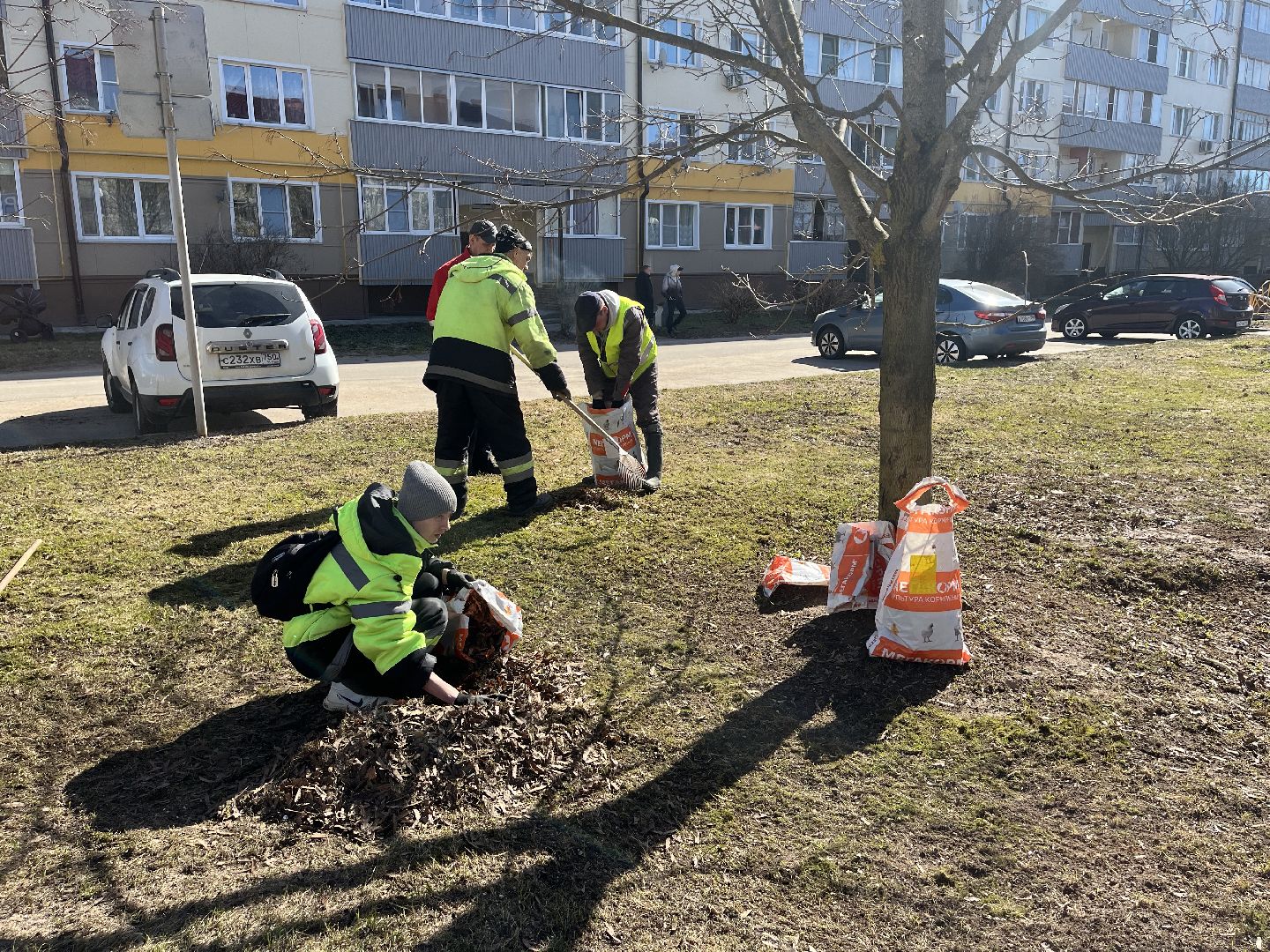 Шаховская, уборка, листья