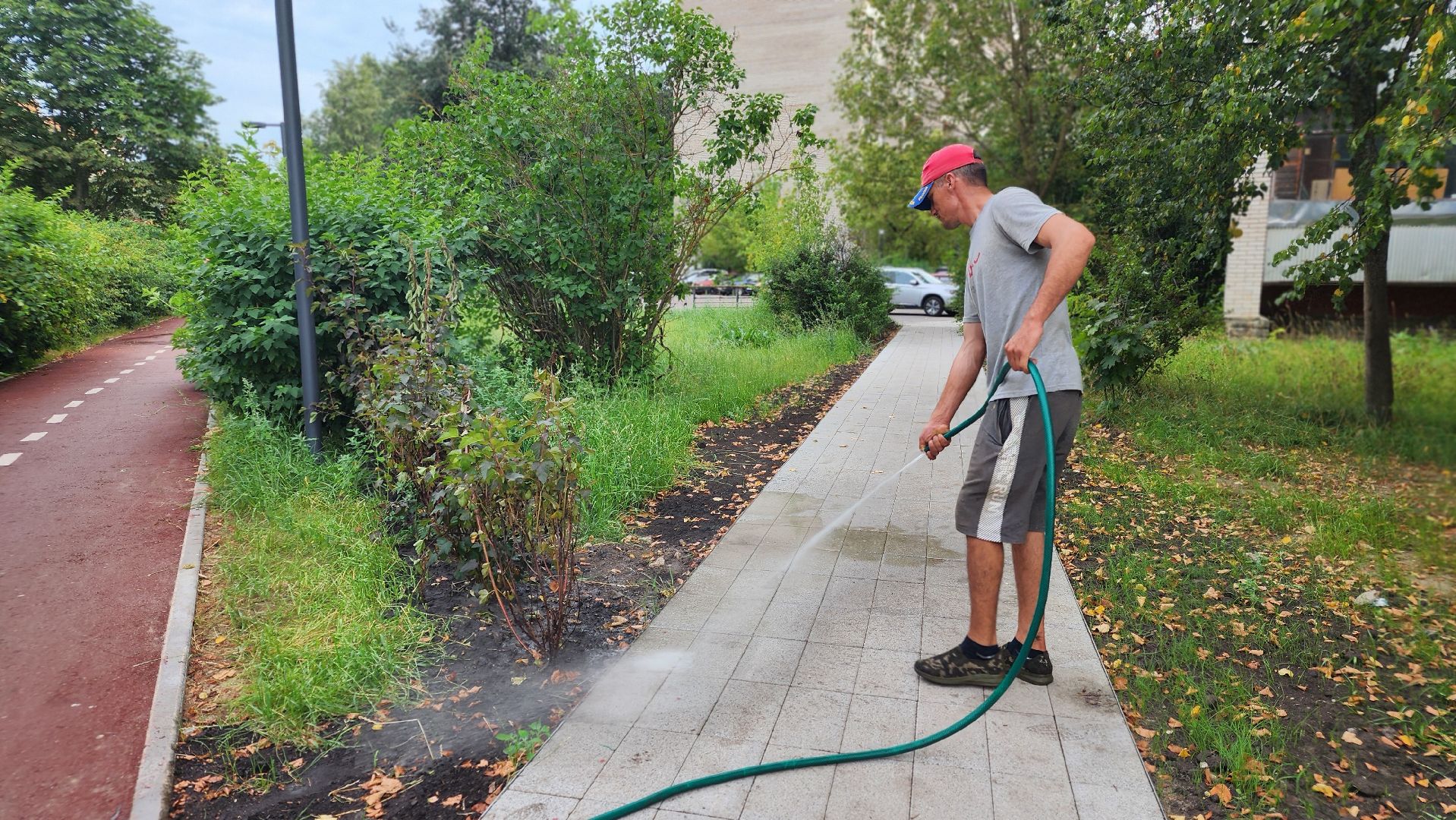 благоустройство, протвино, полив, аномальная жара, комбинат благоустройства,