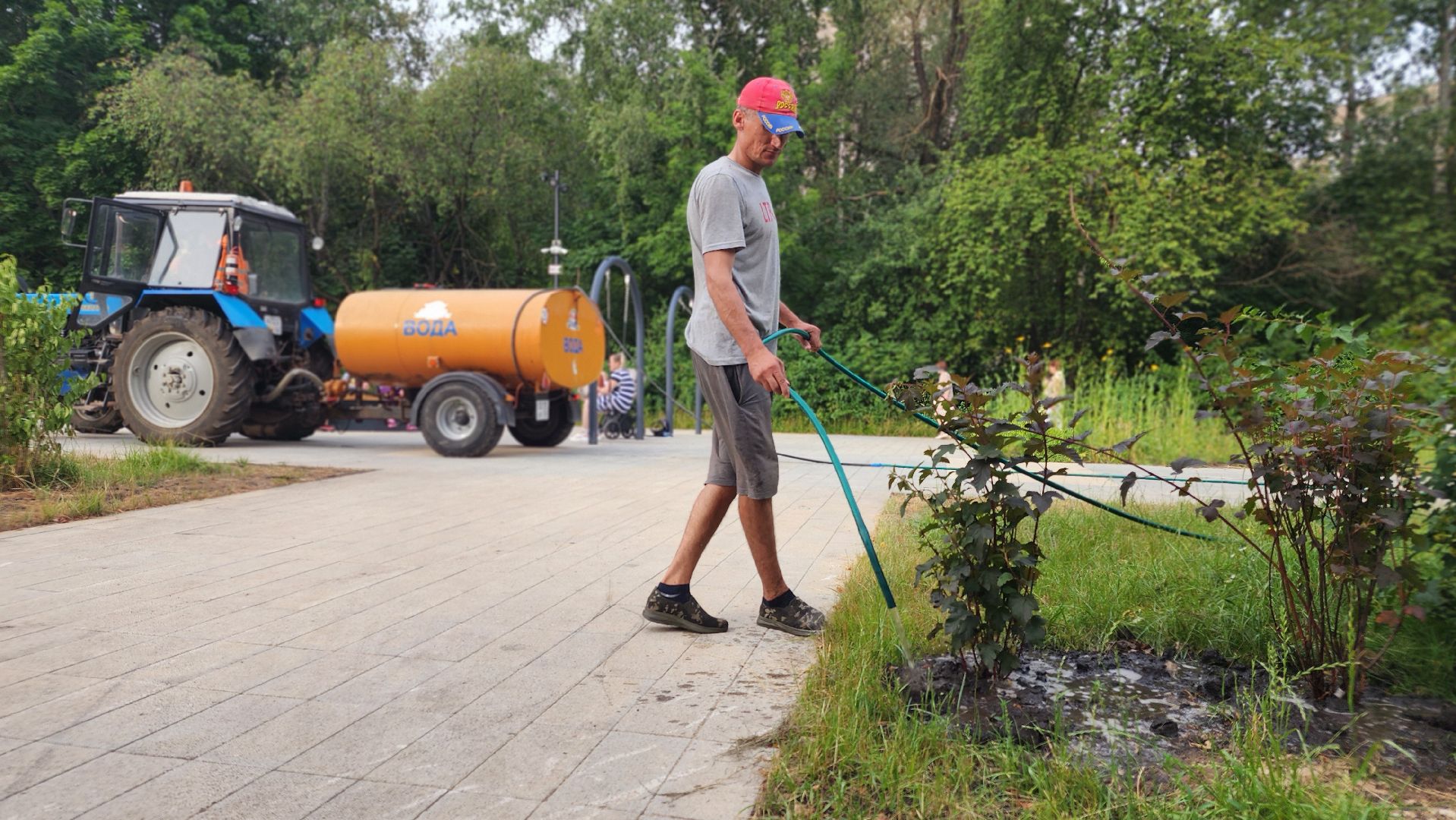 благоустройство, протвино, полив, аномальная жара, комбинат благоустройства,
