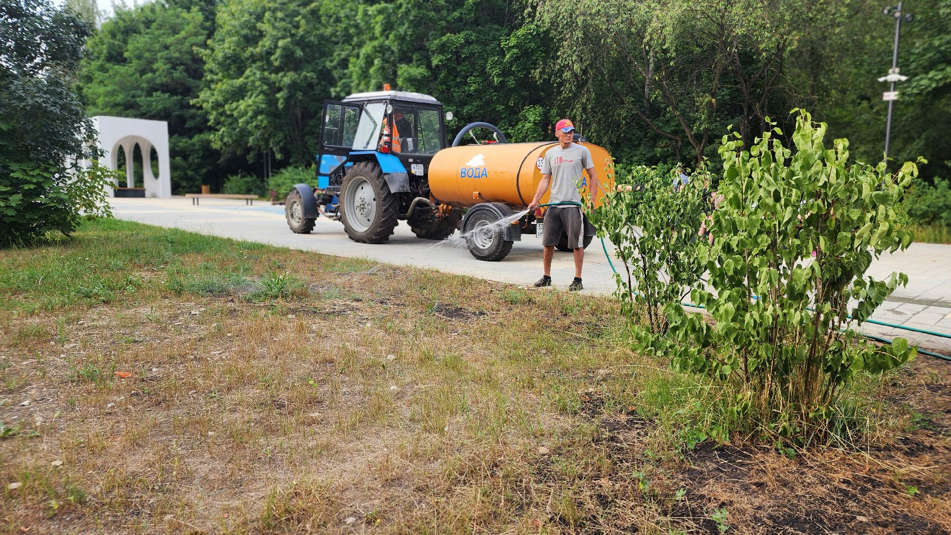 благоустройство, протвино, полив, аномальная жара, комбинат благоустройства,