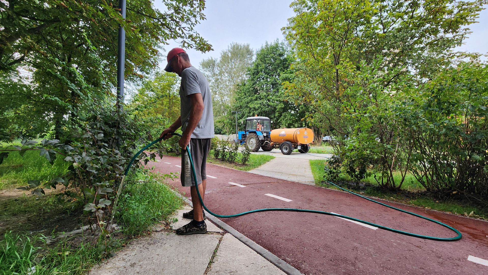 благоустройство, протвино, полив, аномальная жара, комбинат благоустройства,