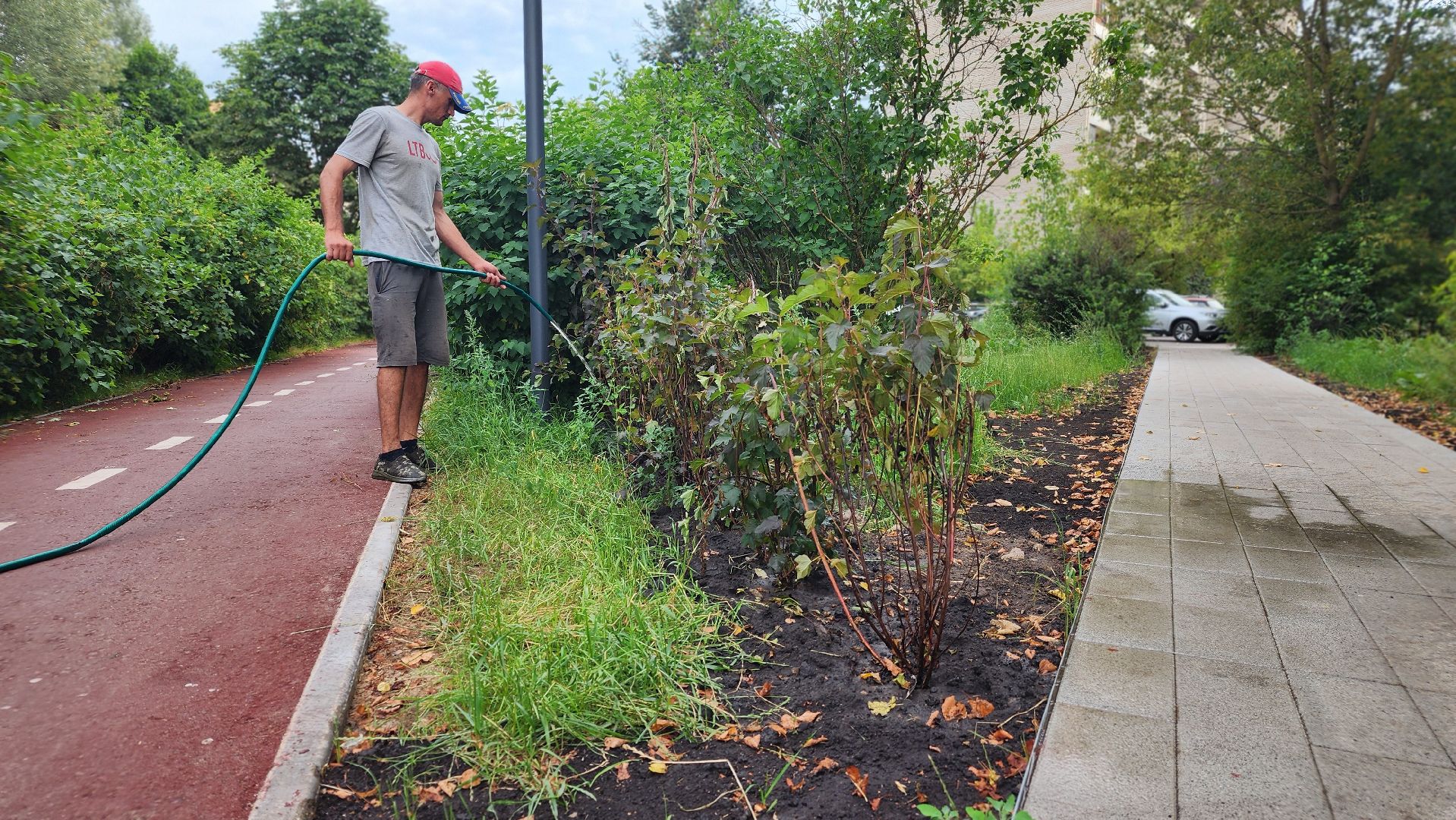 благоустройство, протвино, полив, аномальная жара, комбинат благоустройства,