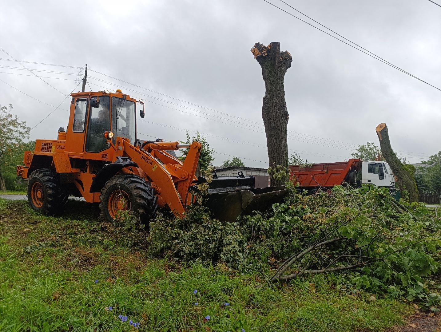 Бронницы, Благоустройство, Вывоз порубленных деревьев, МБУ Благоустройство,