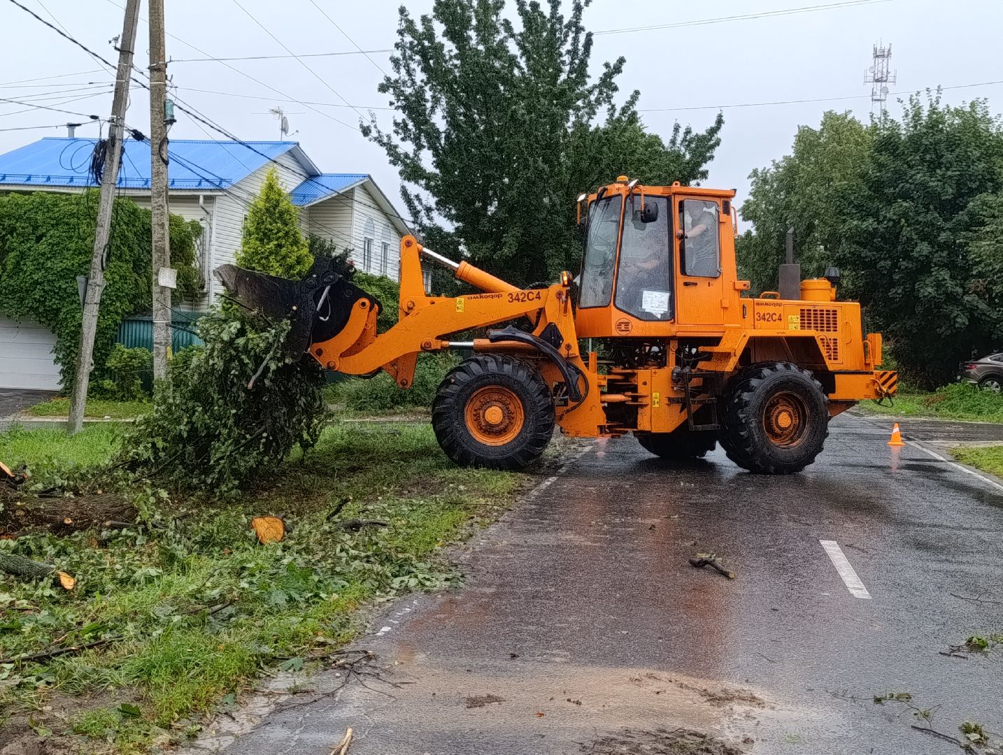 Бронницы, Благоустройство, Вывоз порубленных деревьев, МБУ Благоустройство,