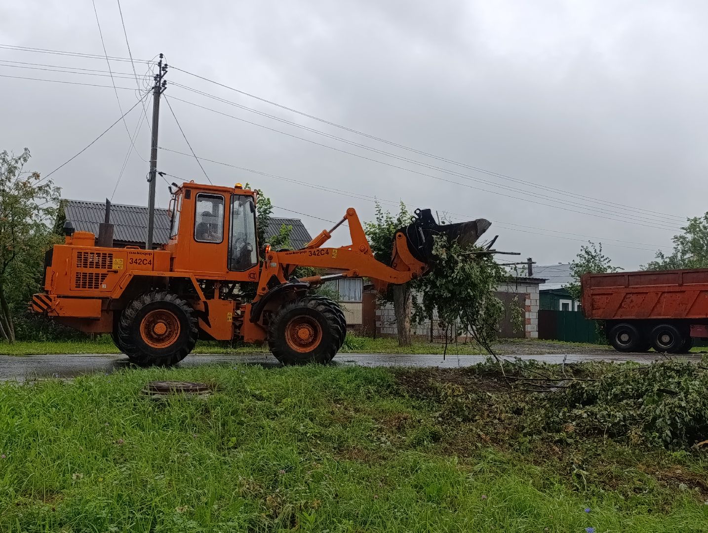 Бронницы, Благоустройство, Вывоз порубленных деревьев, МБУ Благоустройство,