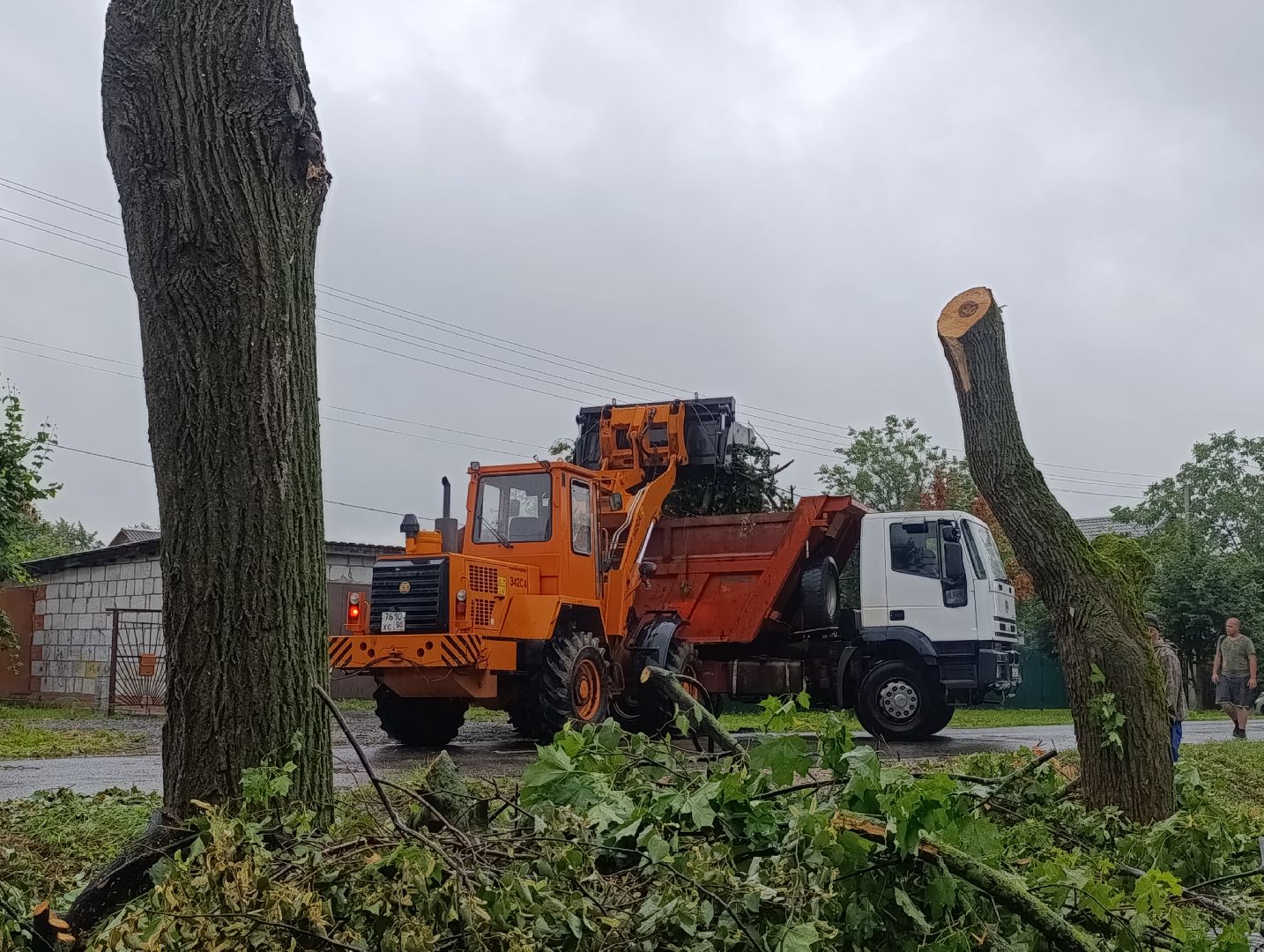 Бронницы, Благоустройство, Вывоз порубленных деревьев, МБУ Благоустройство,