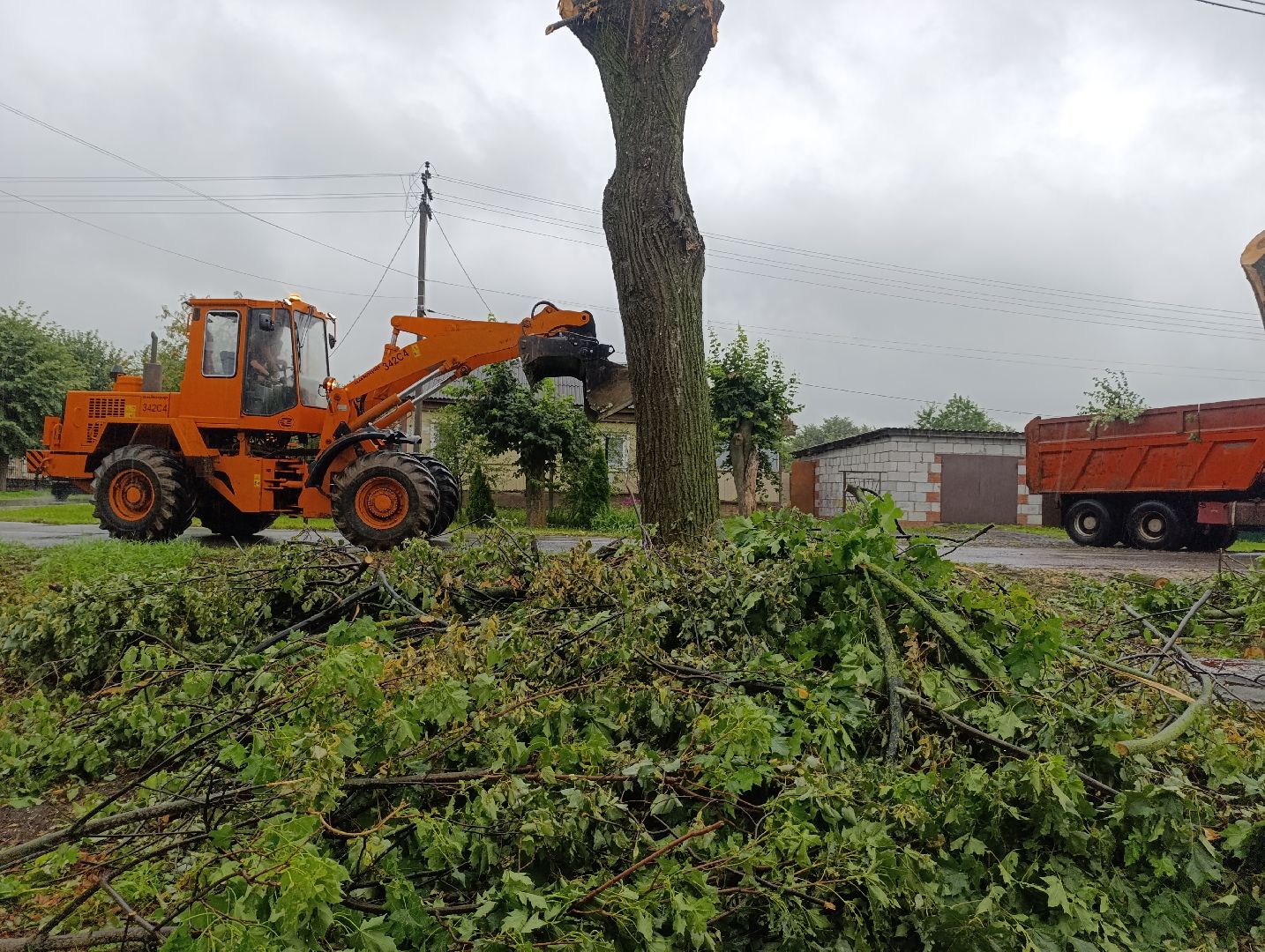 Бронницы, Благоустройство, Вывоз порубленных деревьев, МБУ Благоустройство,