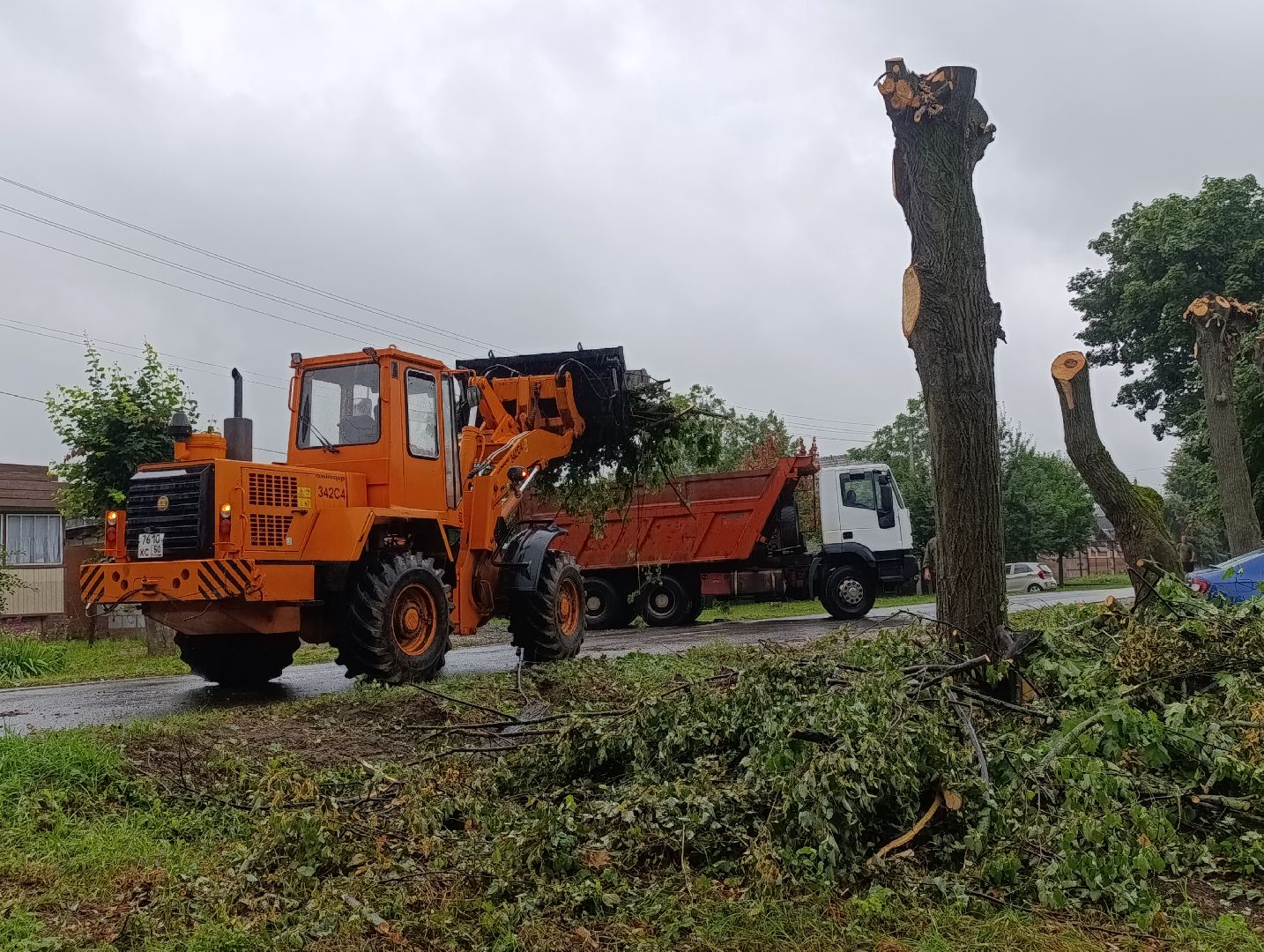 Бронницы, Благоустройство, Вывоз порубленных деревьев, МБУ Благоустройство,