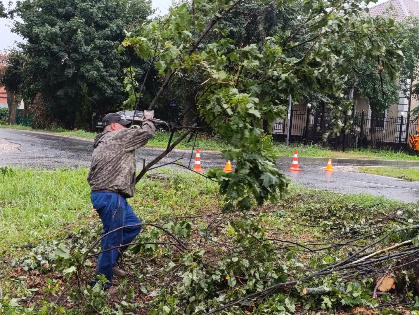 Бронницы, Благоустройство, Вывоз порубленных деревьев, МБУ Благоустройство,