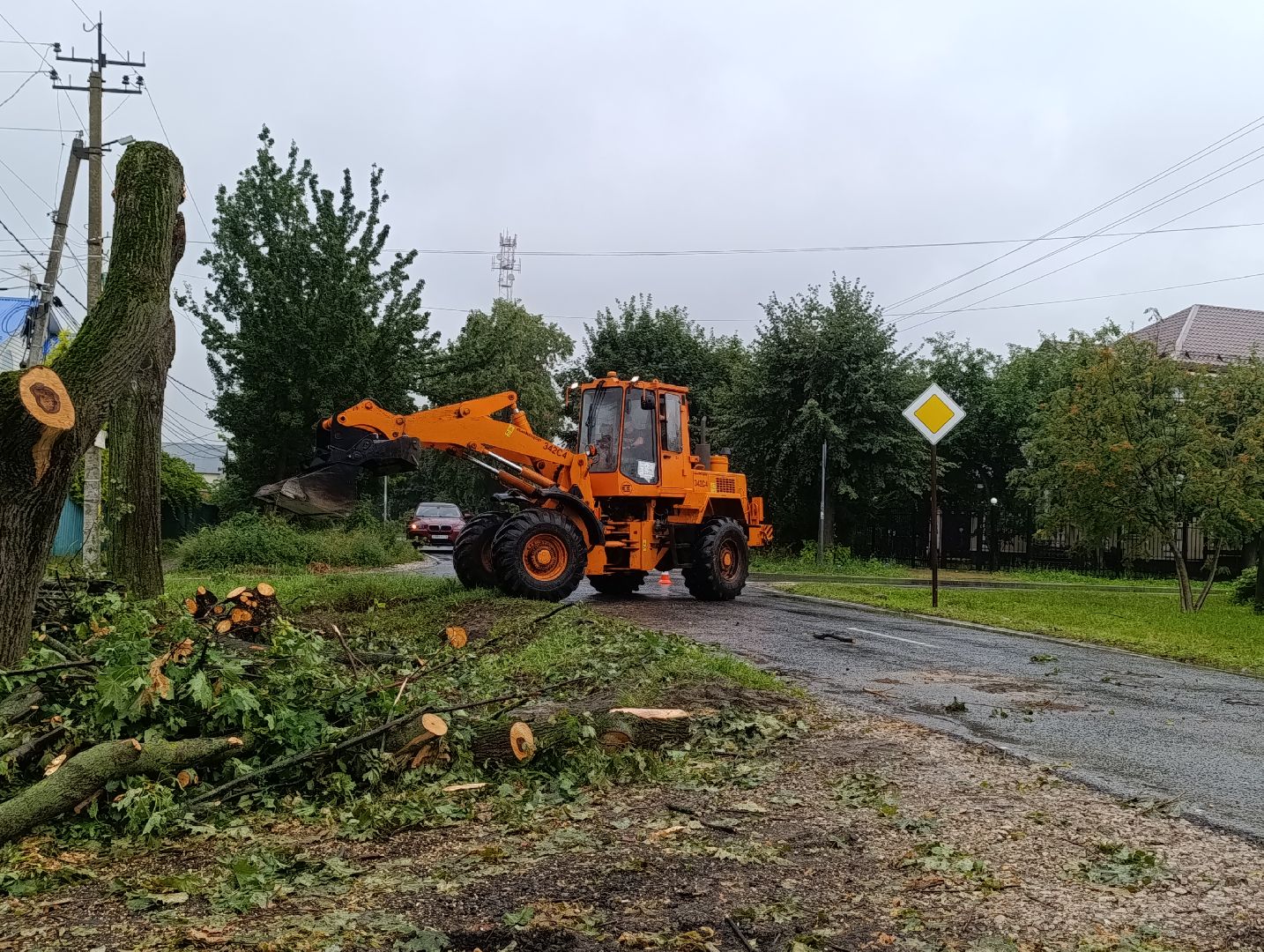 Бронницы, Благоустройство, Вывоз порубленных деревьев, МБУ Благоустройство,