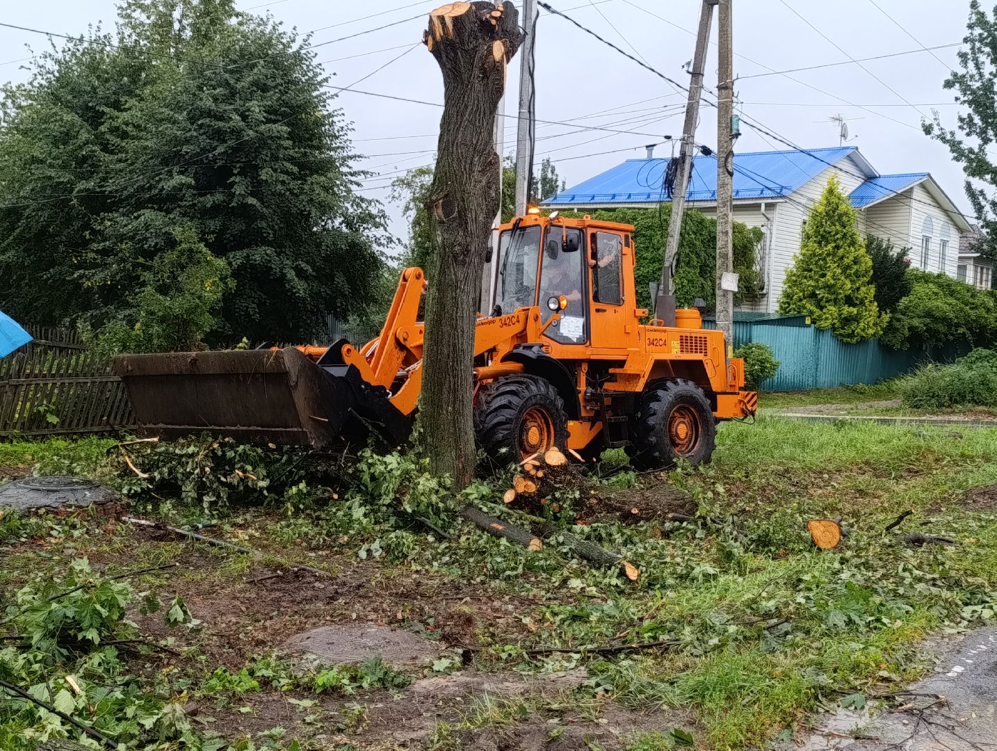 Бронницы, Благоустройство, Вывоз порубленных деревьев, МБУ Благоустройство,