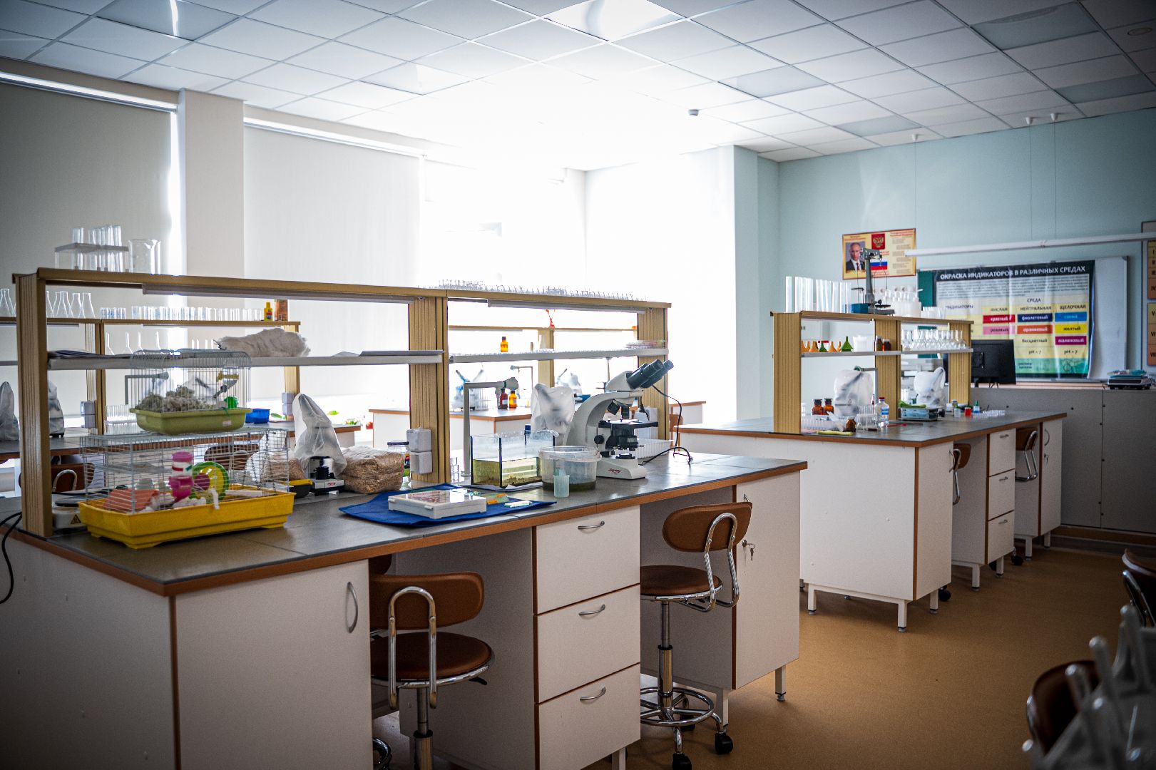 летний лагерь, школа 9, Домодедово,