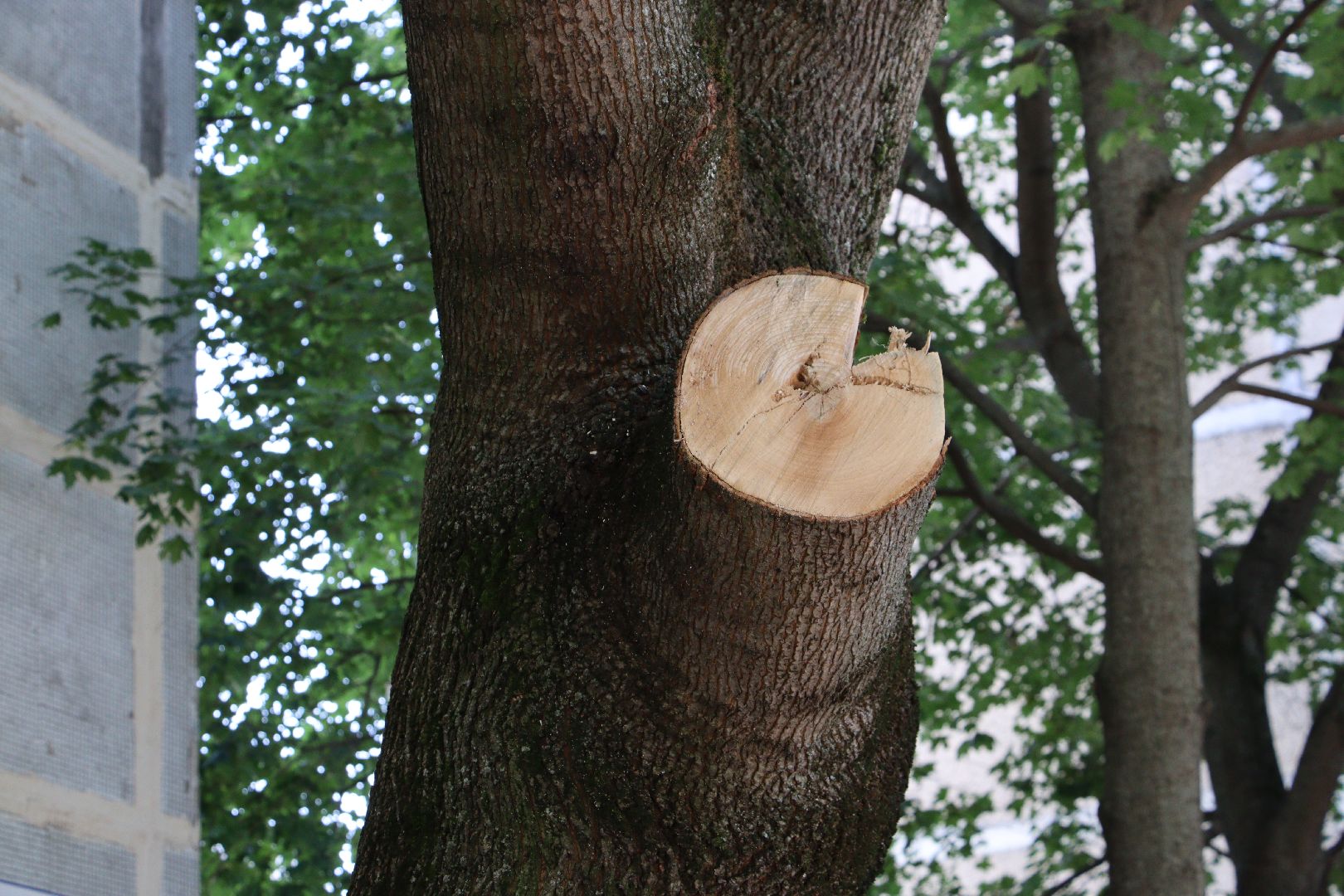 владимир жук, Никита Иванов, дзержинский, благоустройство, ремонт, асфальтирование дворов дорог,