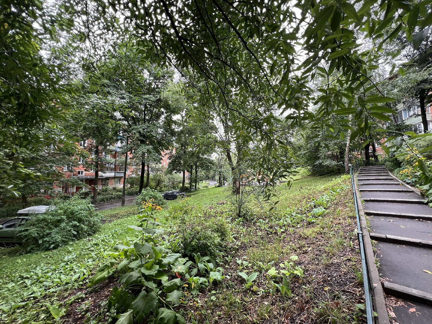 химки, выездная администрация, благоустройство, благоустройство дворов, обращения жителей,