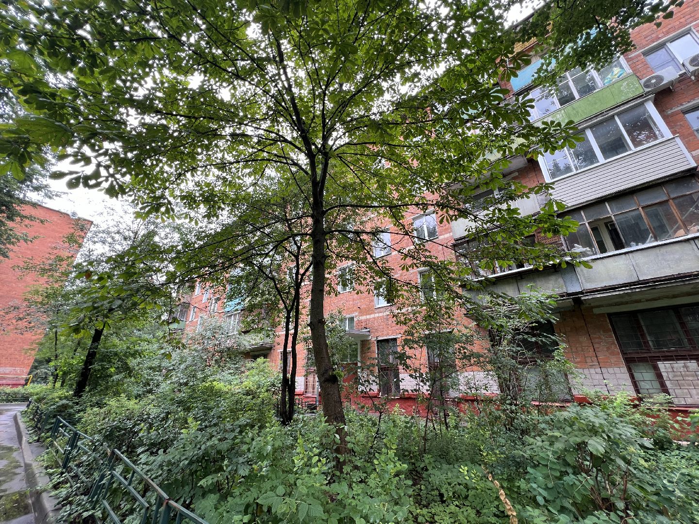 химки, выездная администрация, благоустройство, благоустройство дворов, обращения жителей,