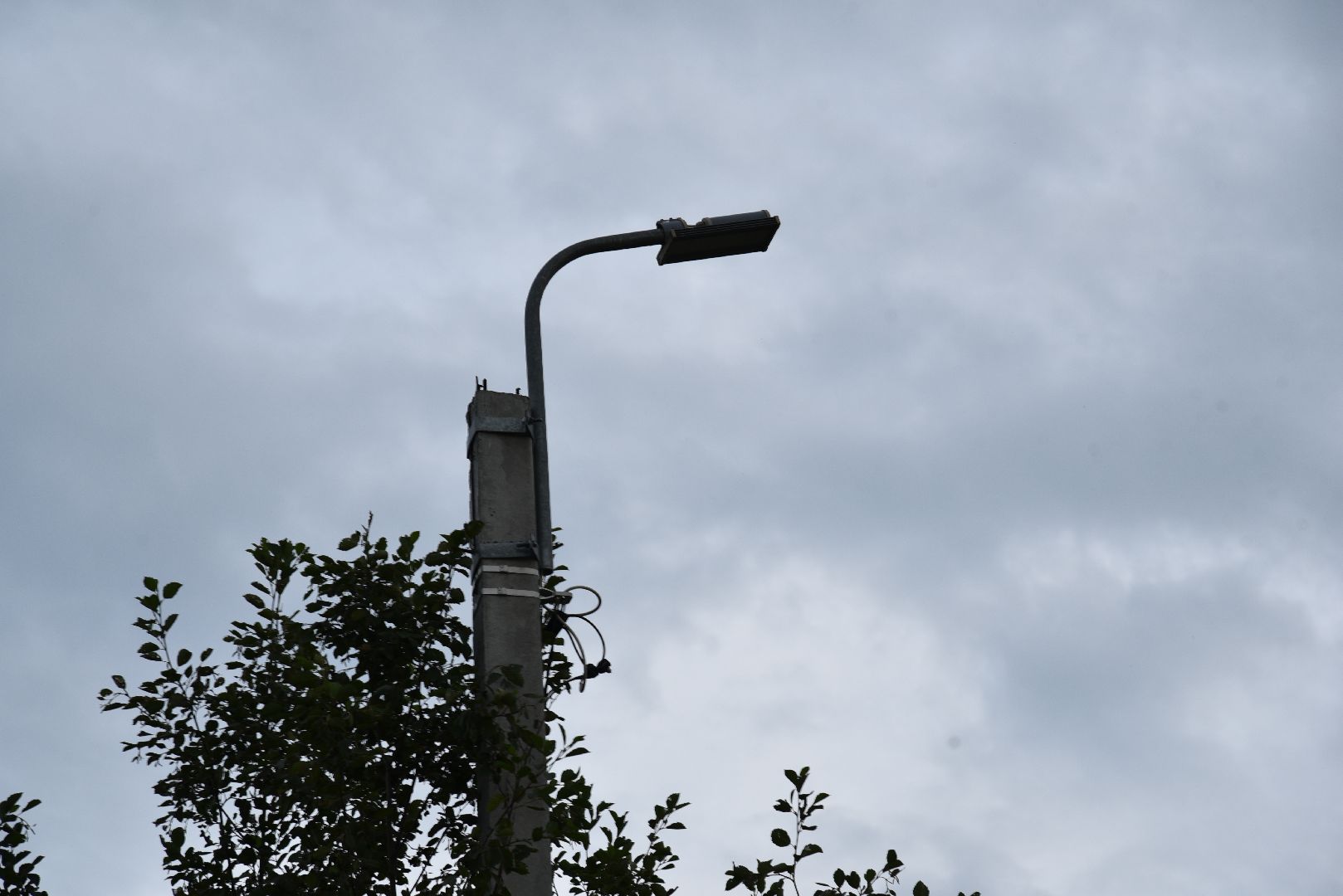 лотошино, выездная администрация, глава округа, глава муниципалитета,