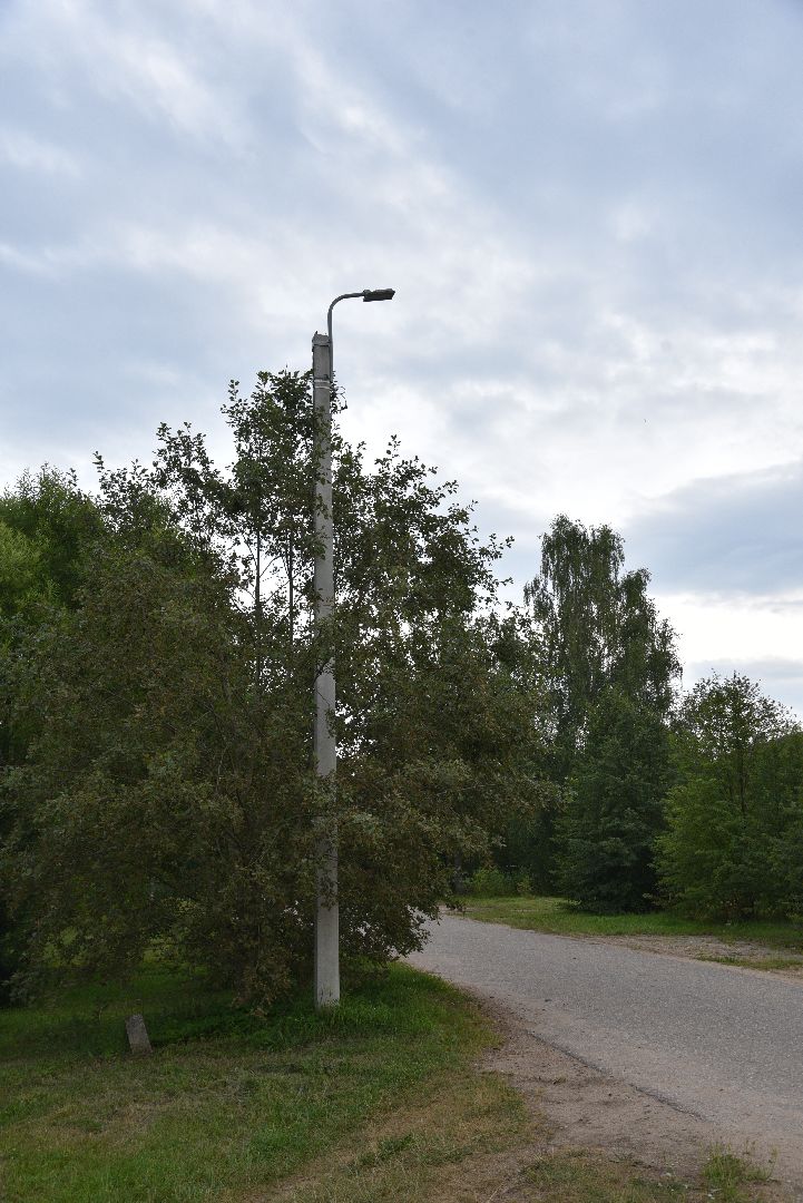 лотошино, выездная администрация, глава округа, глава муниципалитета,