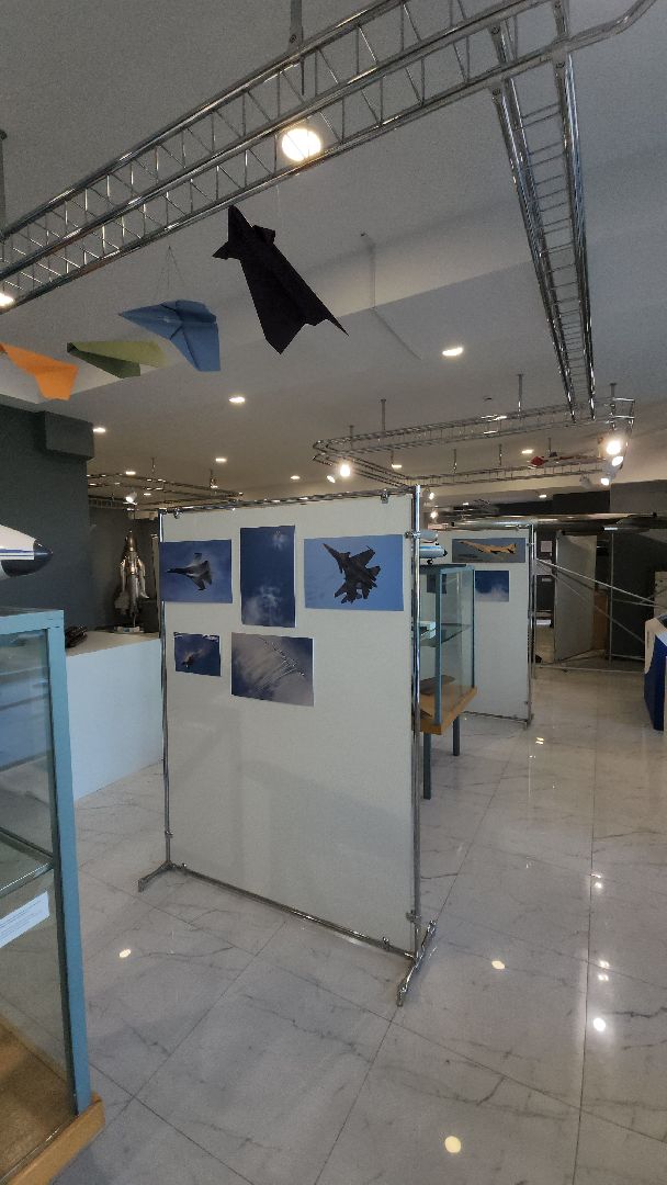 Александр Усов, фотограф, фотография, выставка, демонстрационный центр цаги, Елена Магаляс, МАКС,