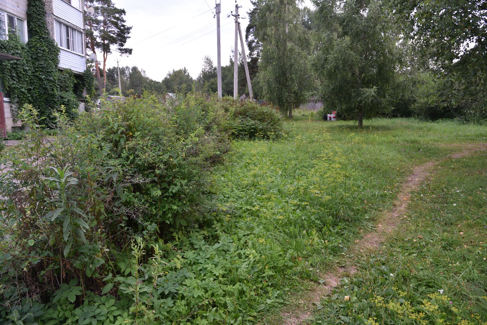 лотошино, выездная администрация, глава округа, глава муниципалитета, благоустройство,