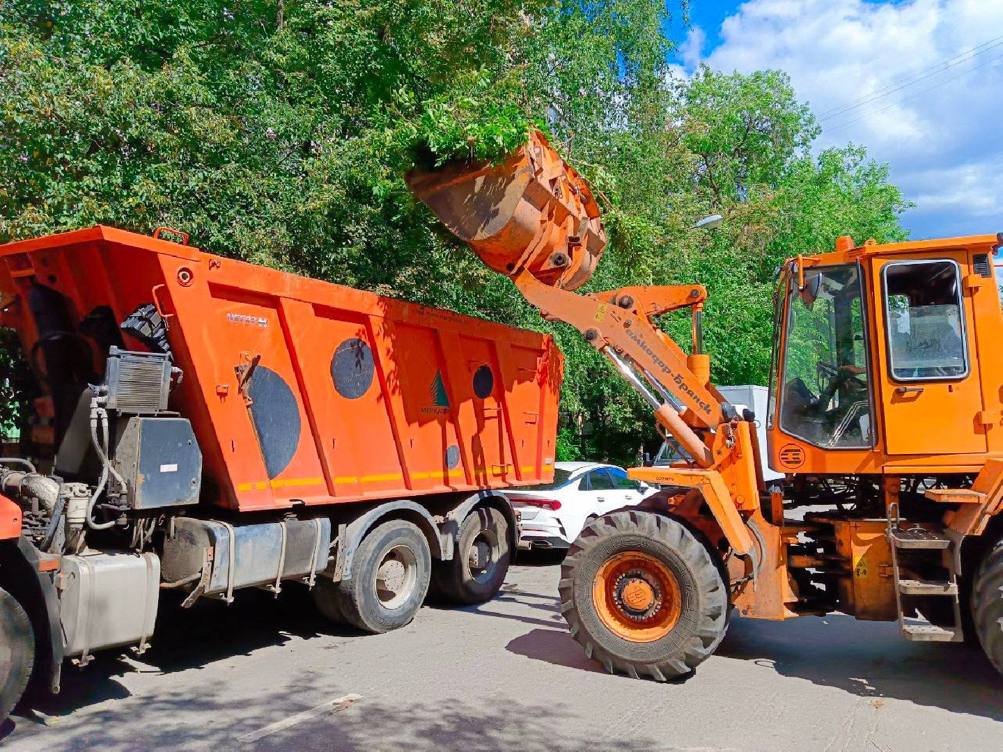 ураган, последствия урагана, мбу городское хозяйство